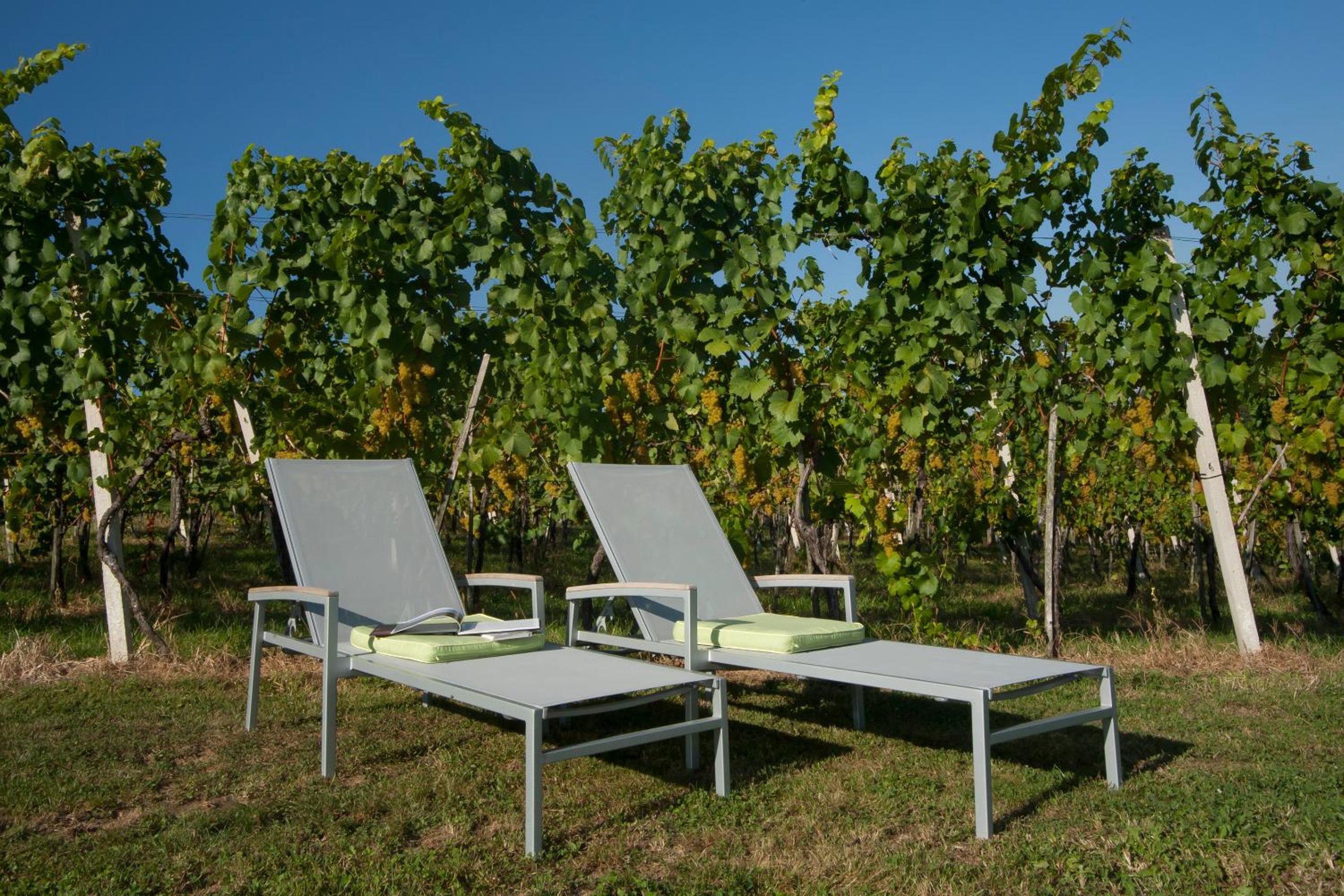 Ferienhäuser im Weingarten