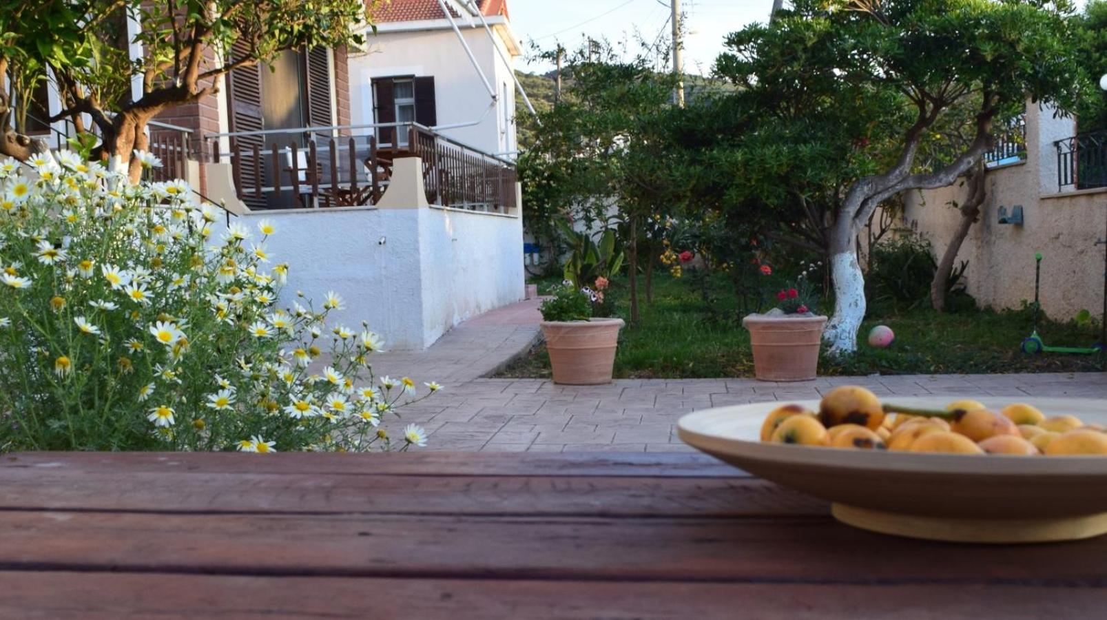 Modern Apartment with Garden view 4
