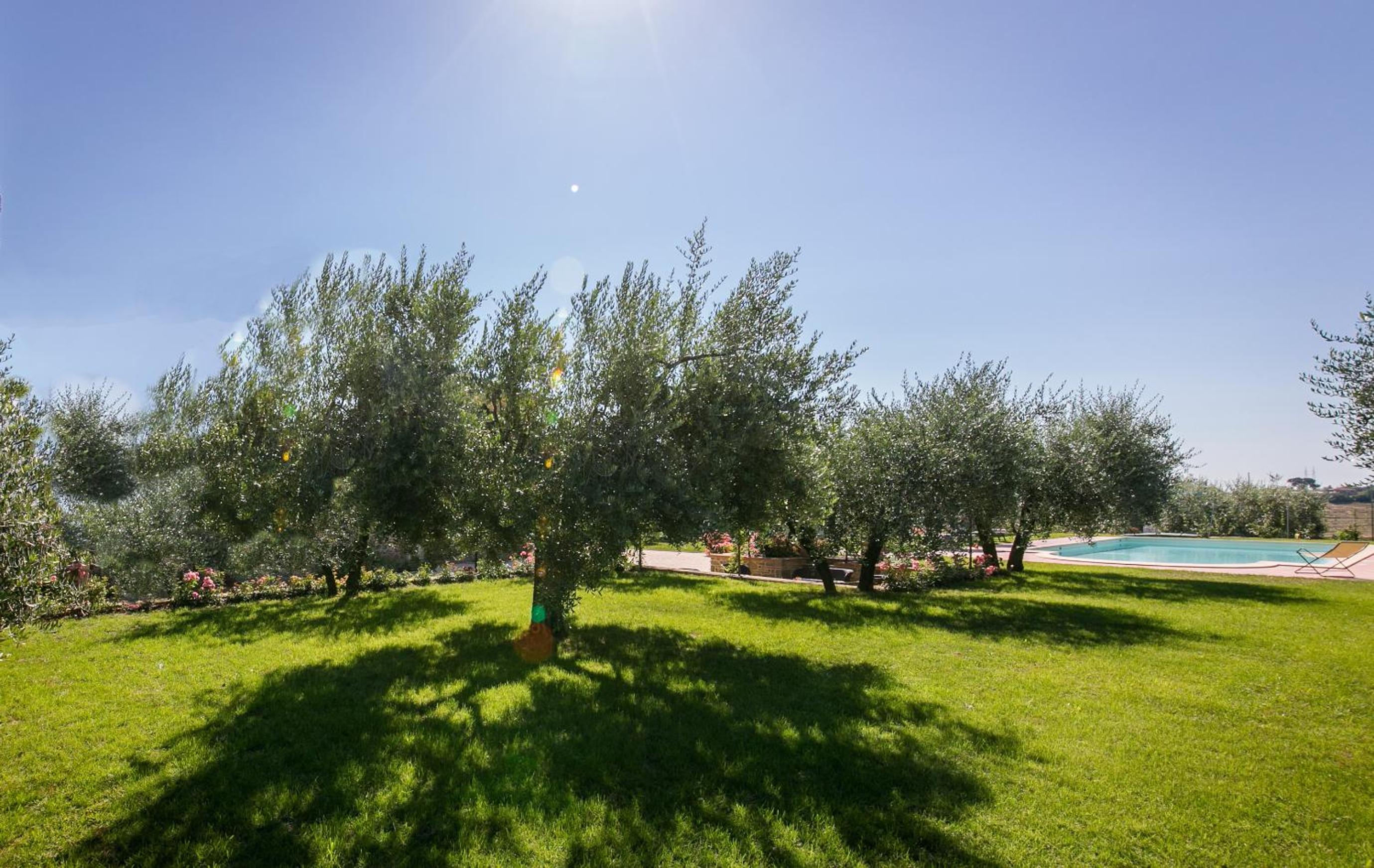 La Noce view 3