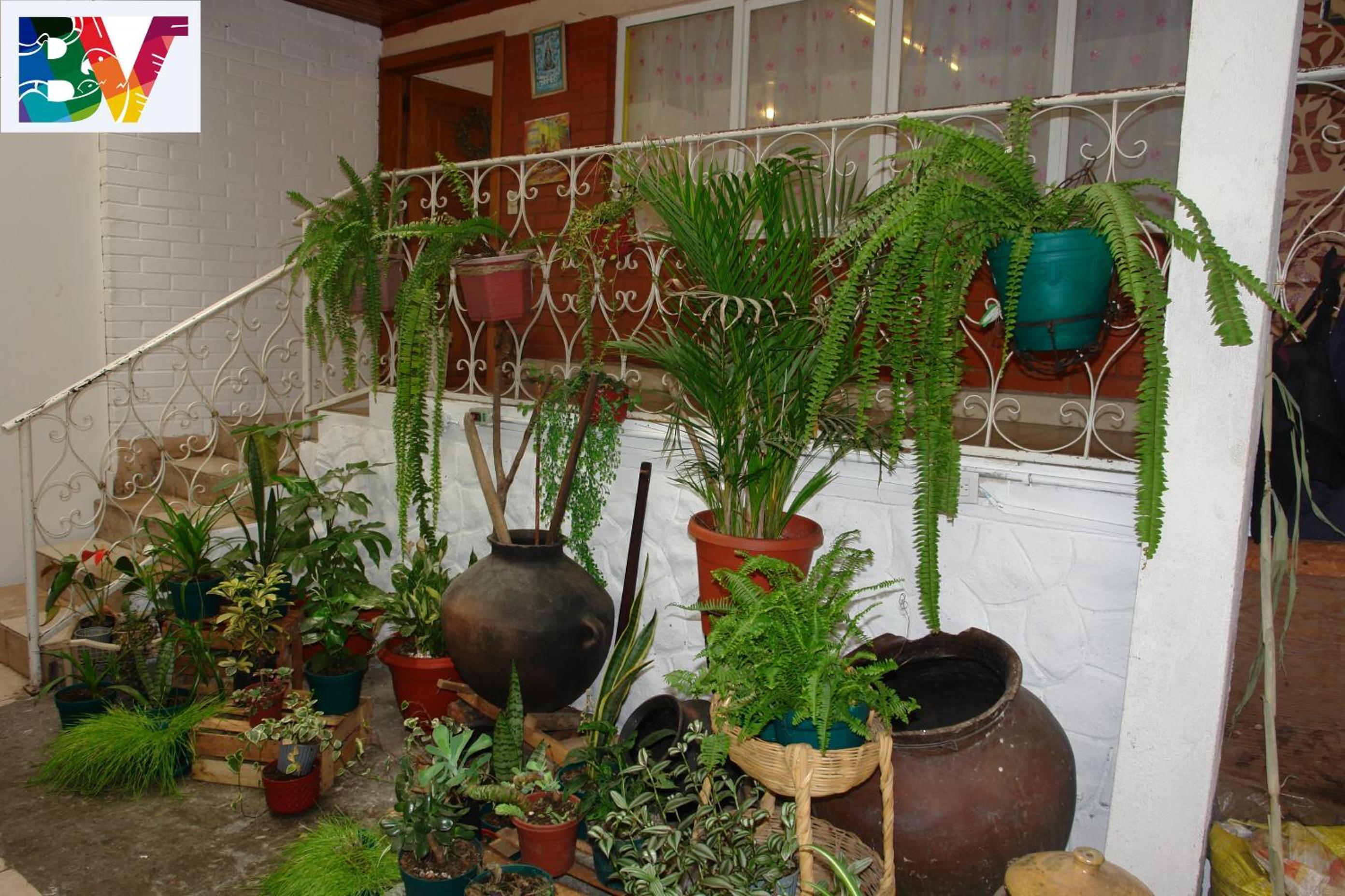 Casa Bella Vista