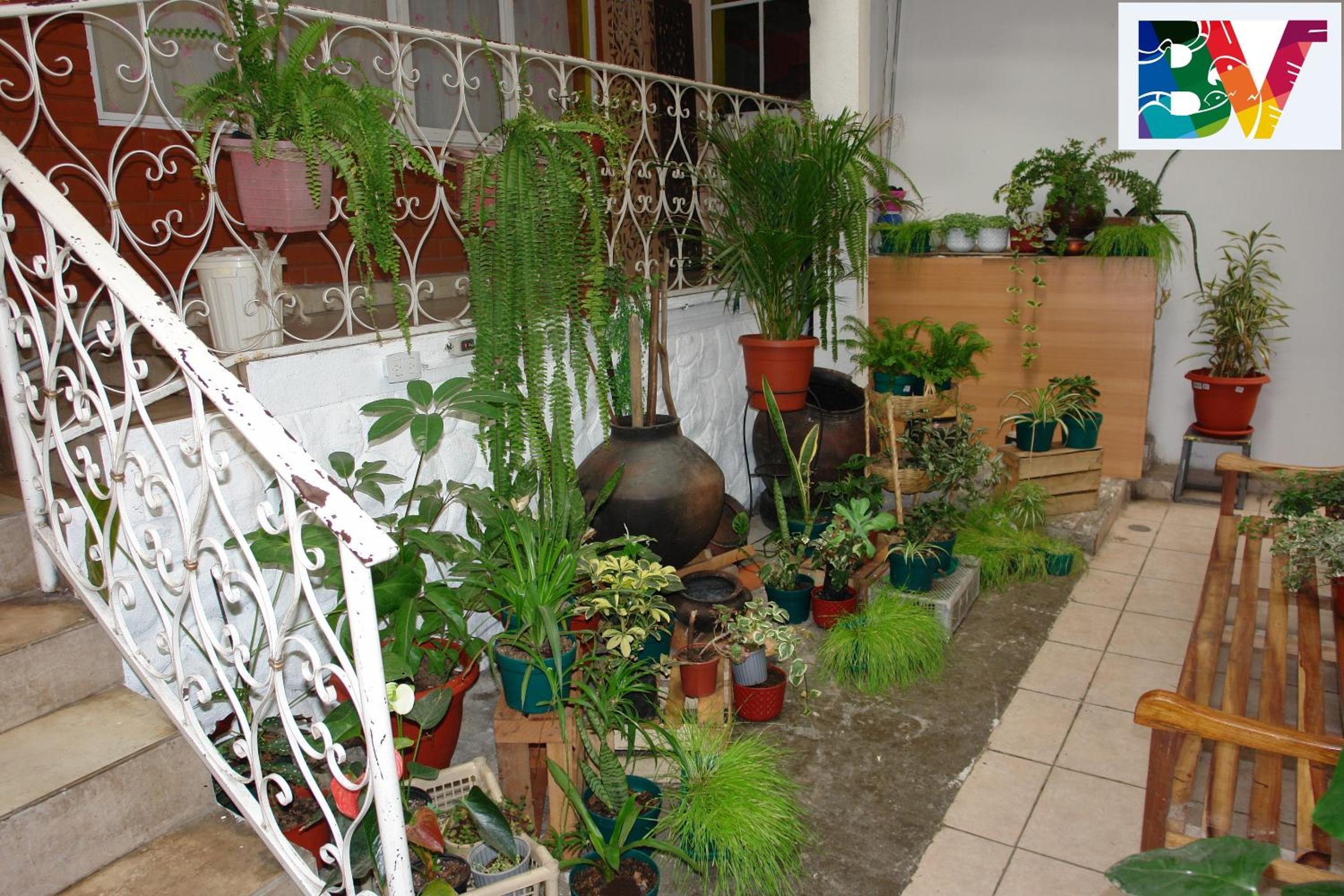 Casa Bella Vista