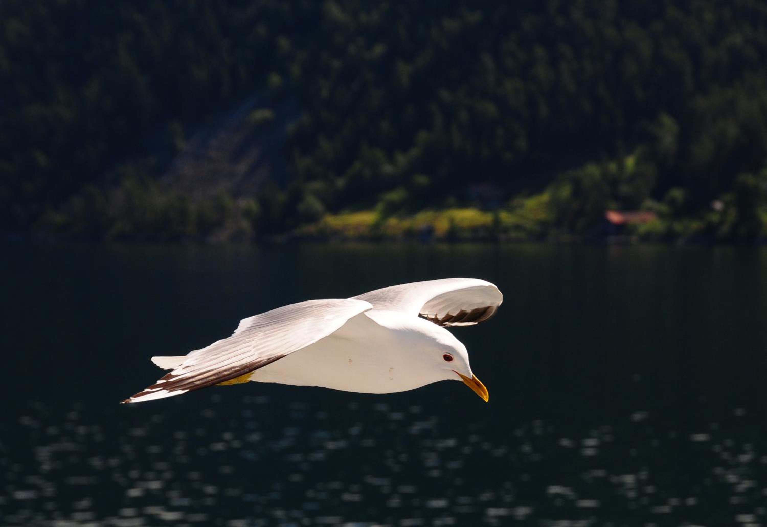 Visit Undredal en Undredal