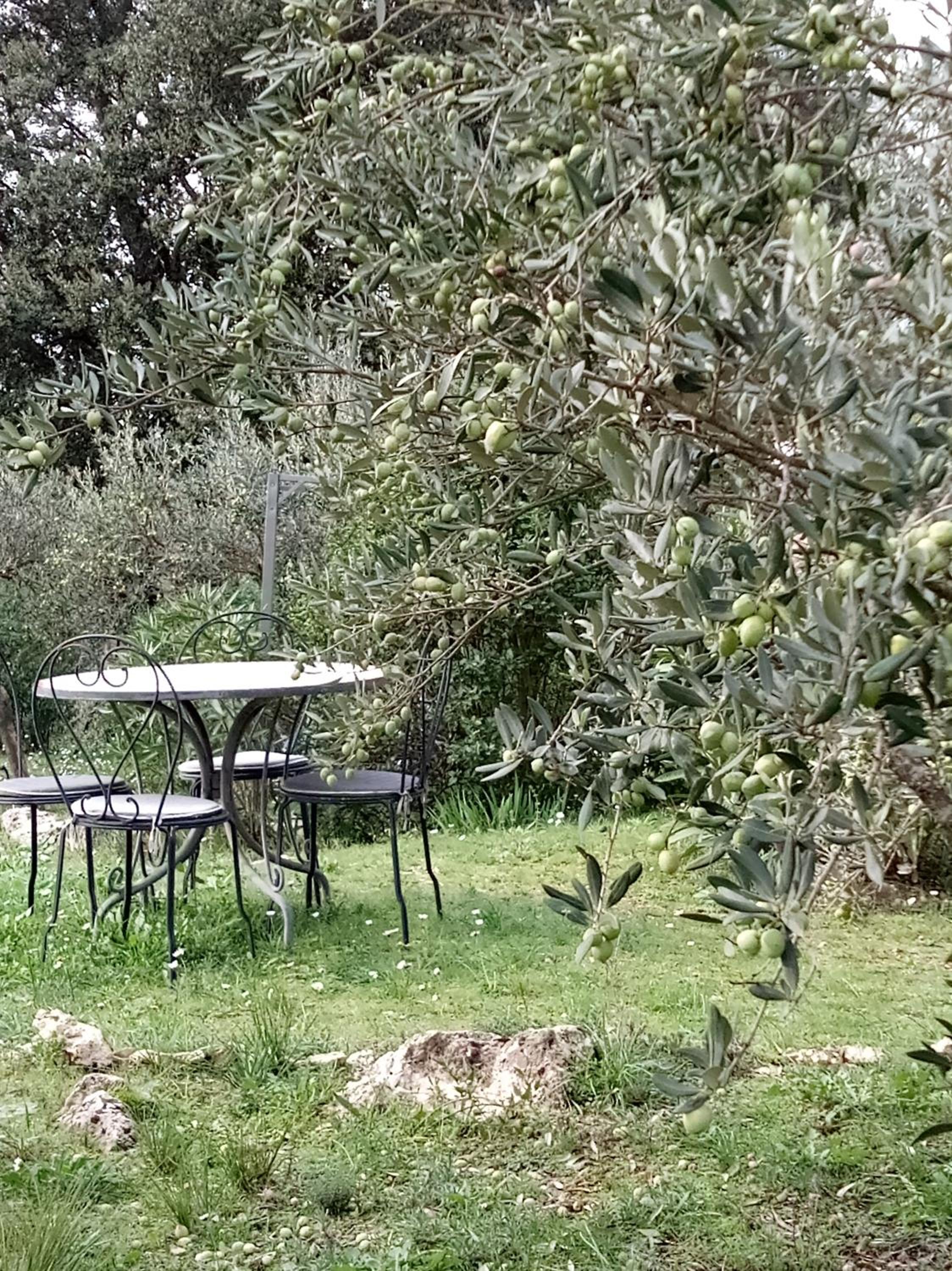 Le Petit Paradis - La Provençale, photo 26