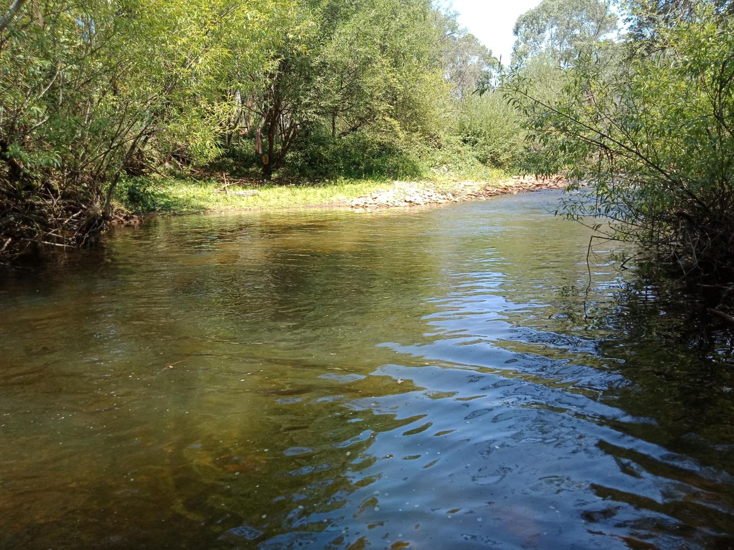 Riverbend Homestead