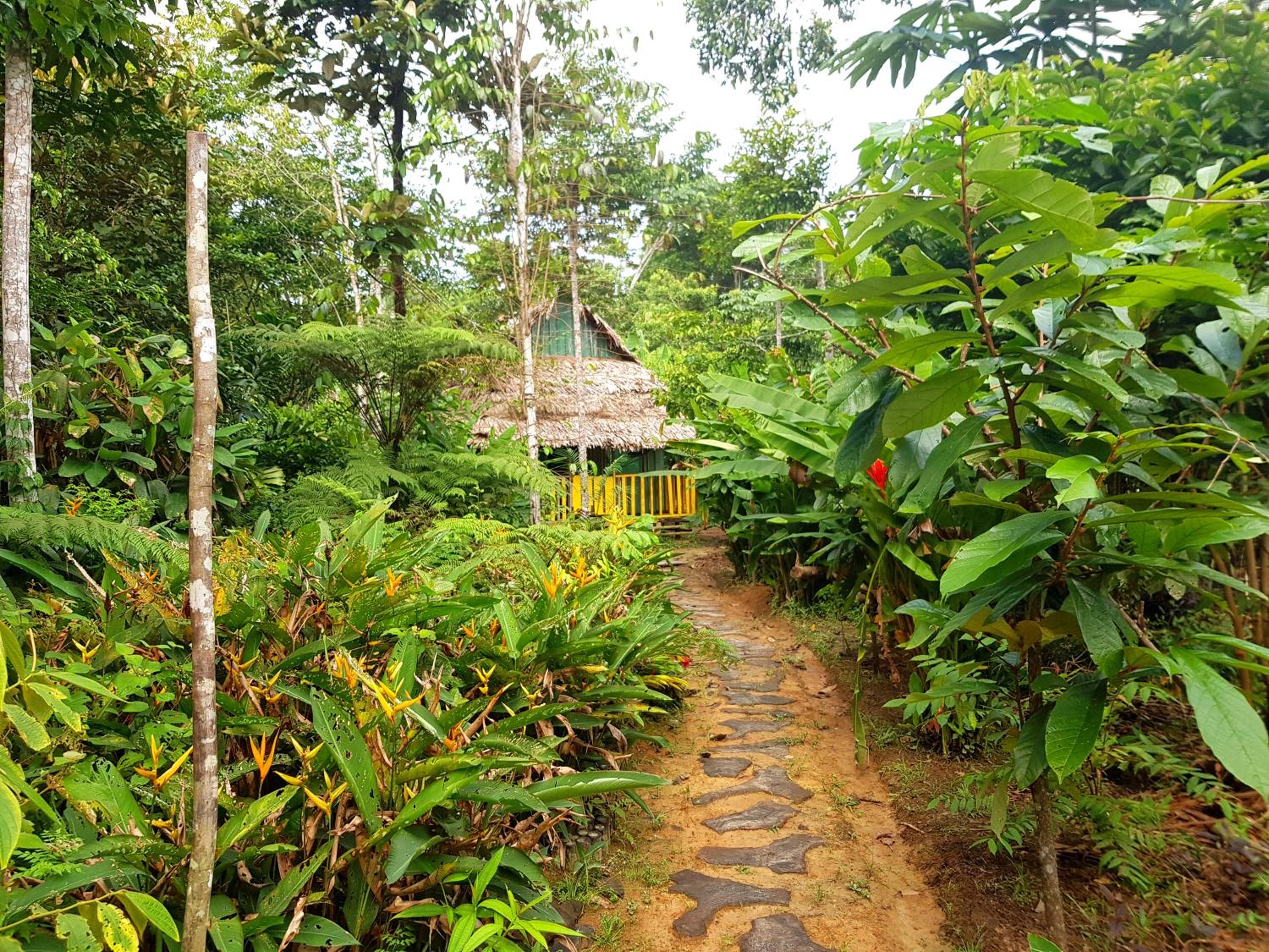 Omshanty Jungle Lodge view 5