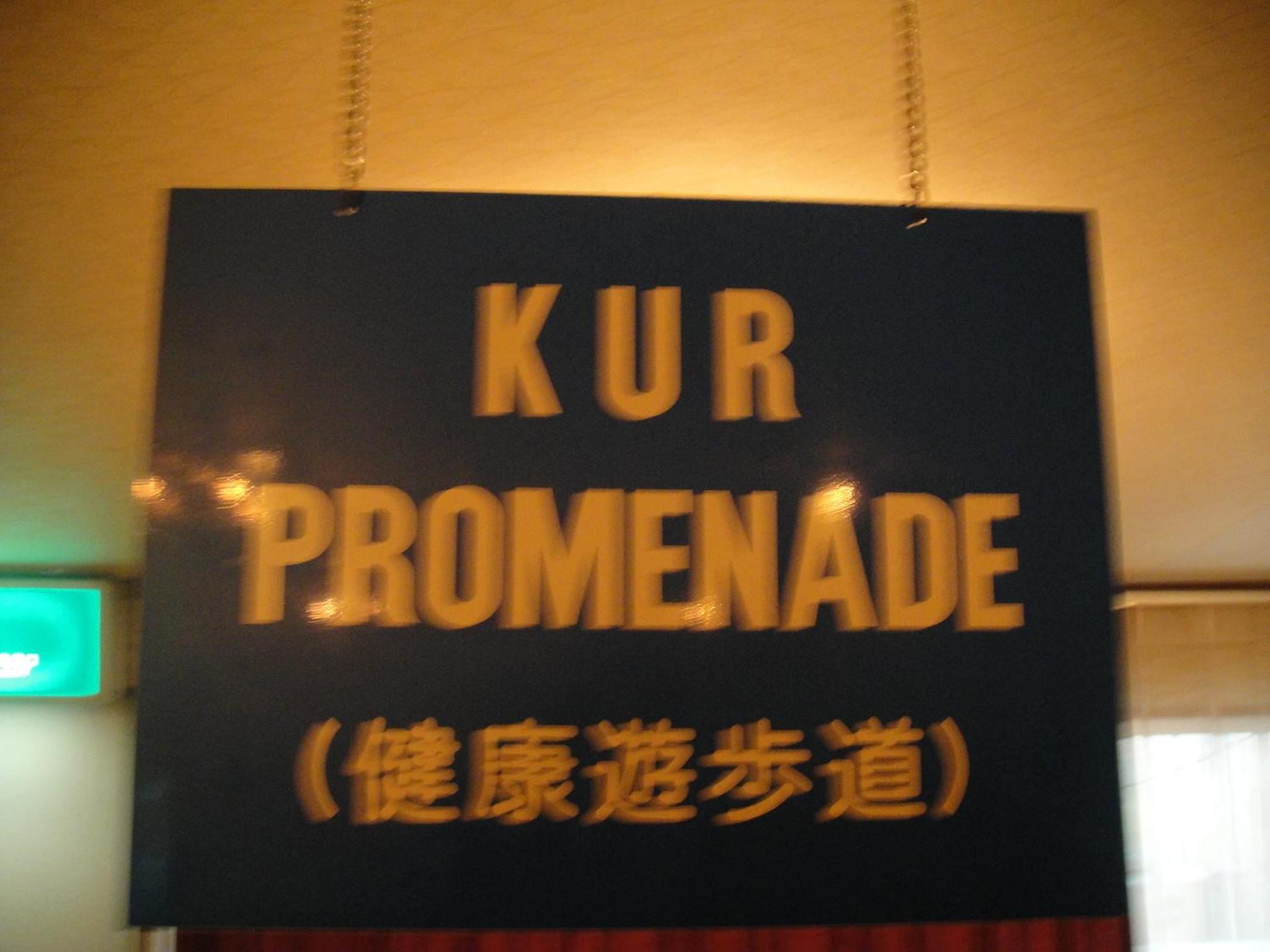 Kurhaus Ishibashi Ryokan