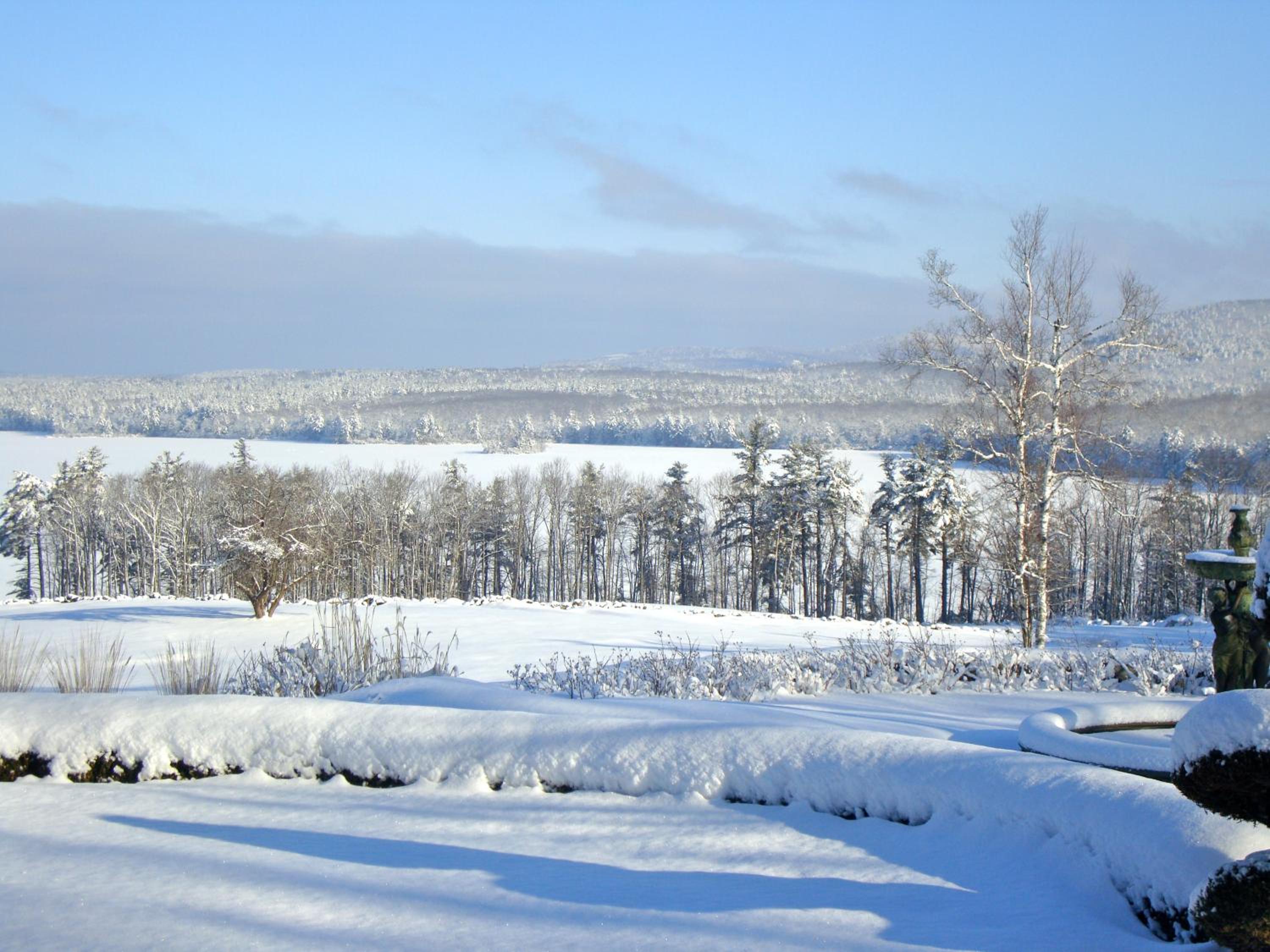 Maguire House Bed and Breakfast view 5