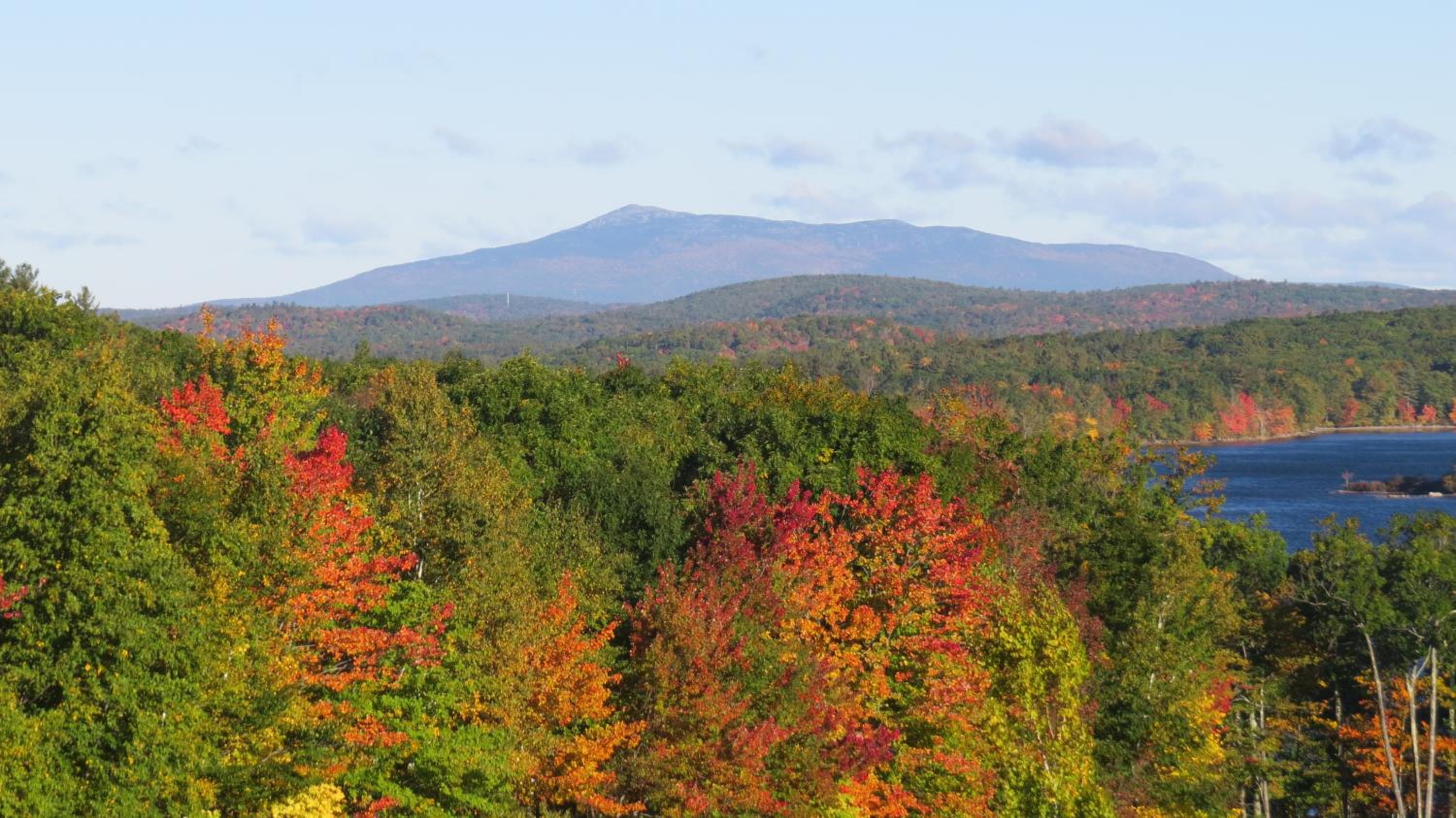 Maguire House Bed and Breakfast view 4