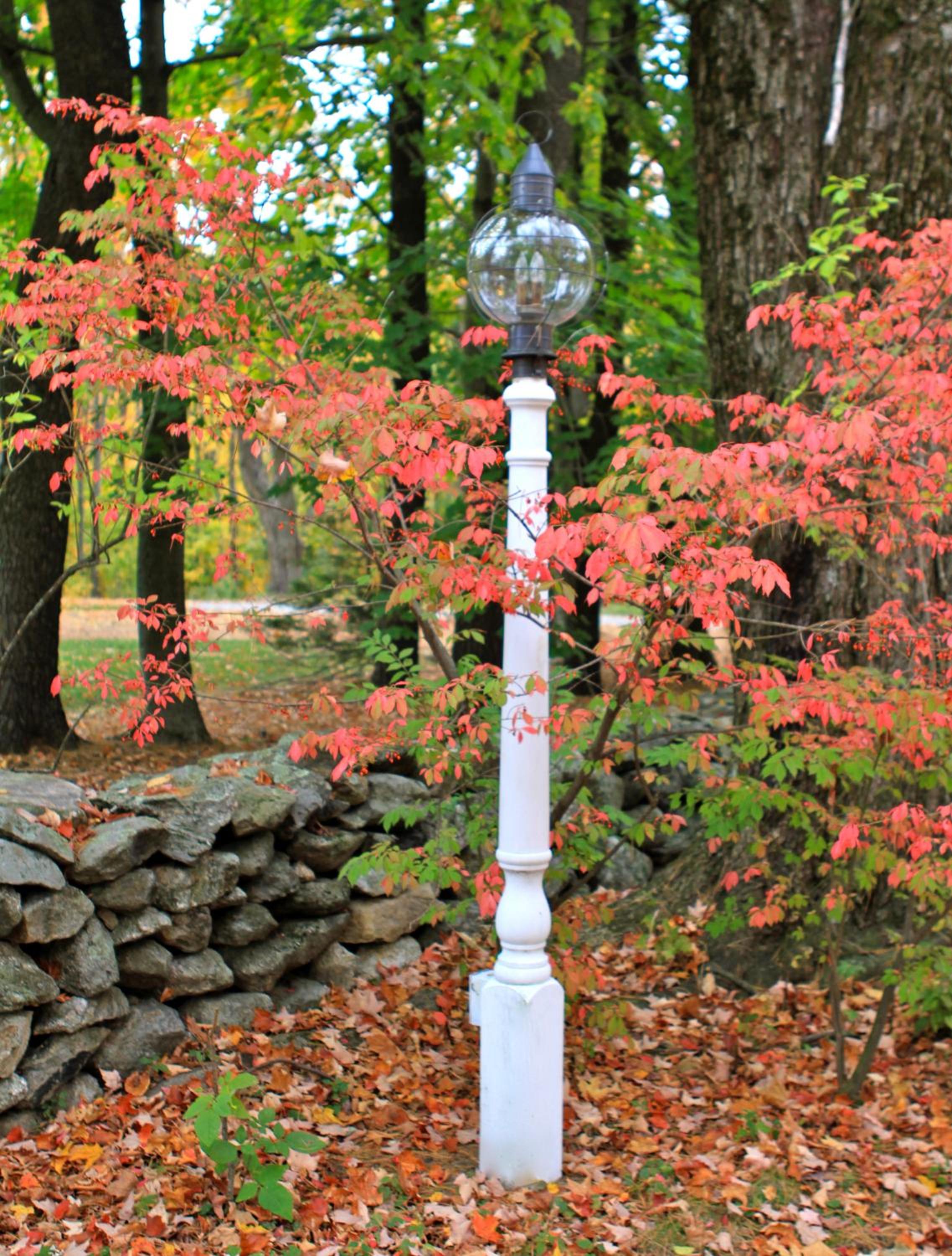 Maguire House Bed and Breakfast view 3
