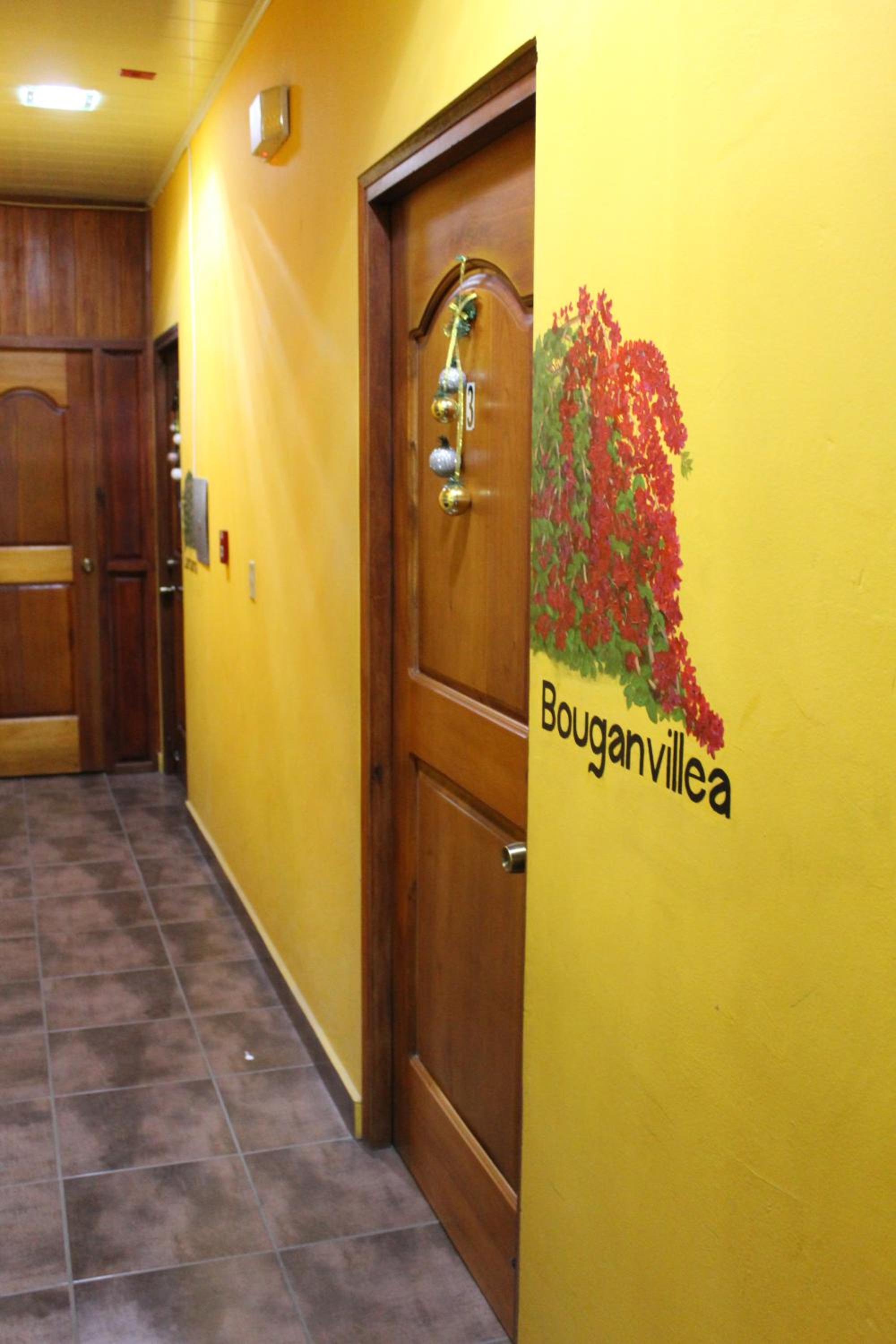 Boquete Town Hostal
