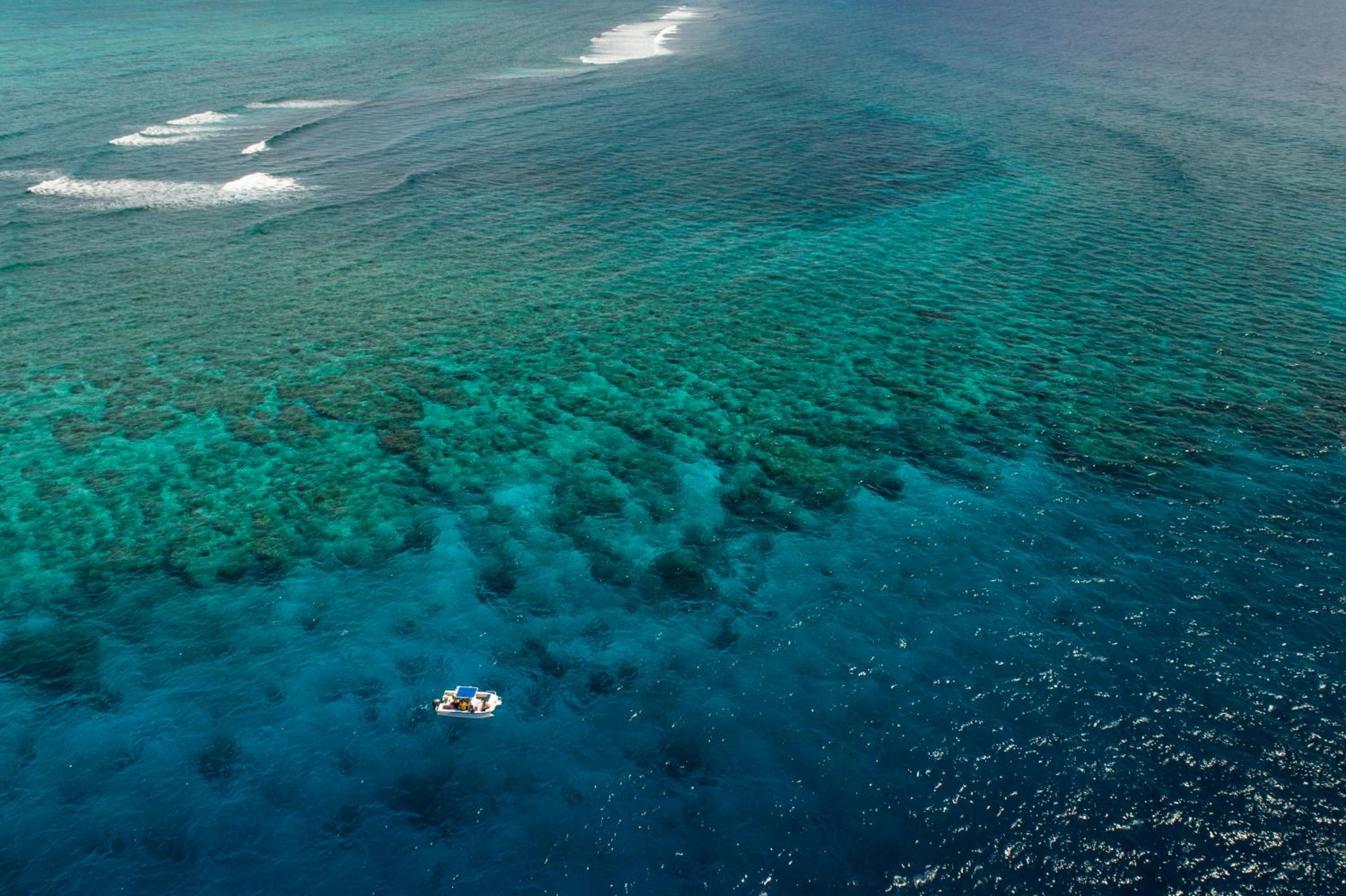Nukubati Great Sea Reef - view 7