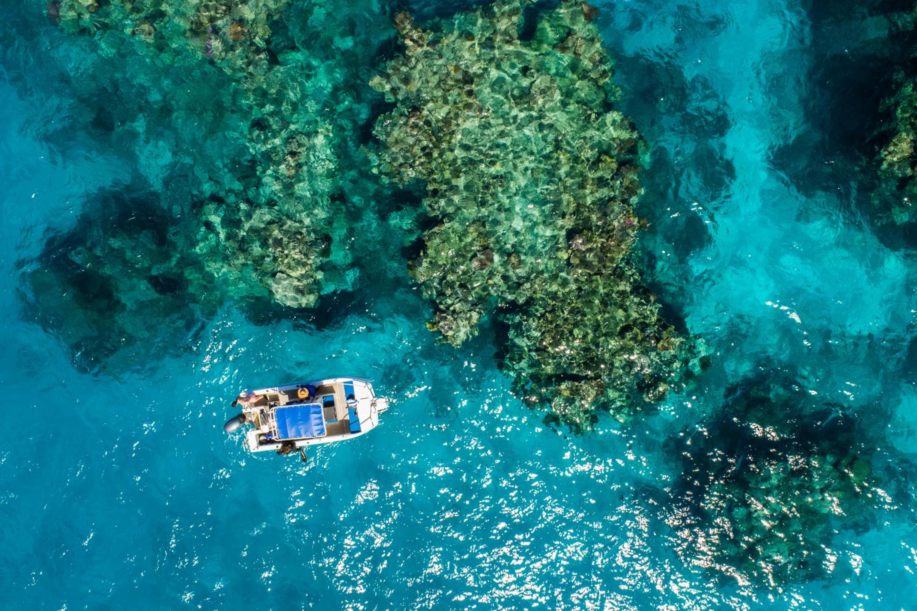 Nukubati Great Sea Reef - view 8