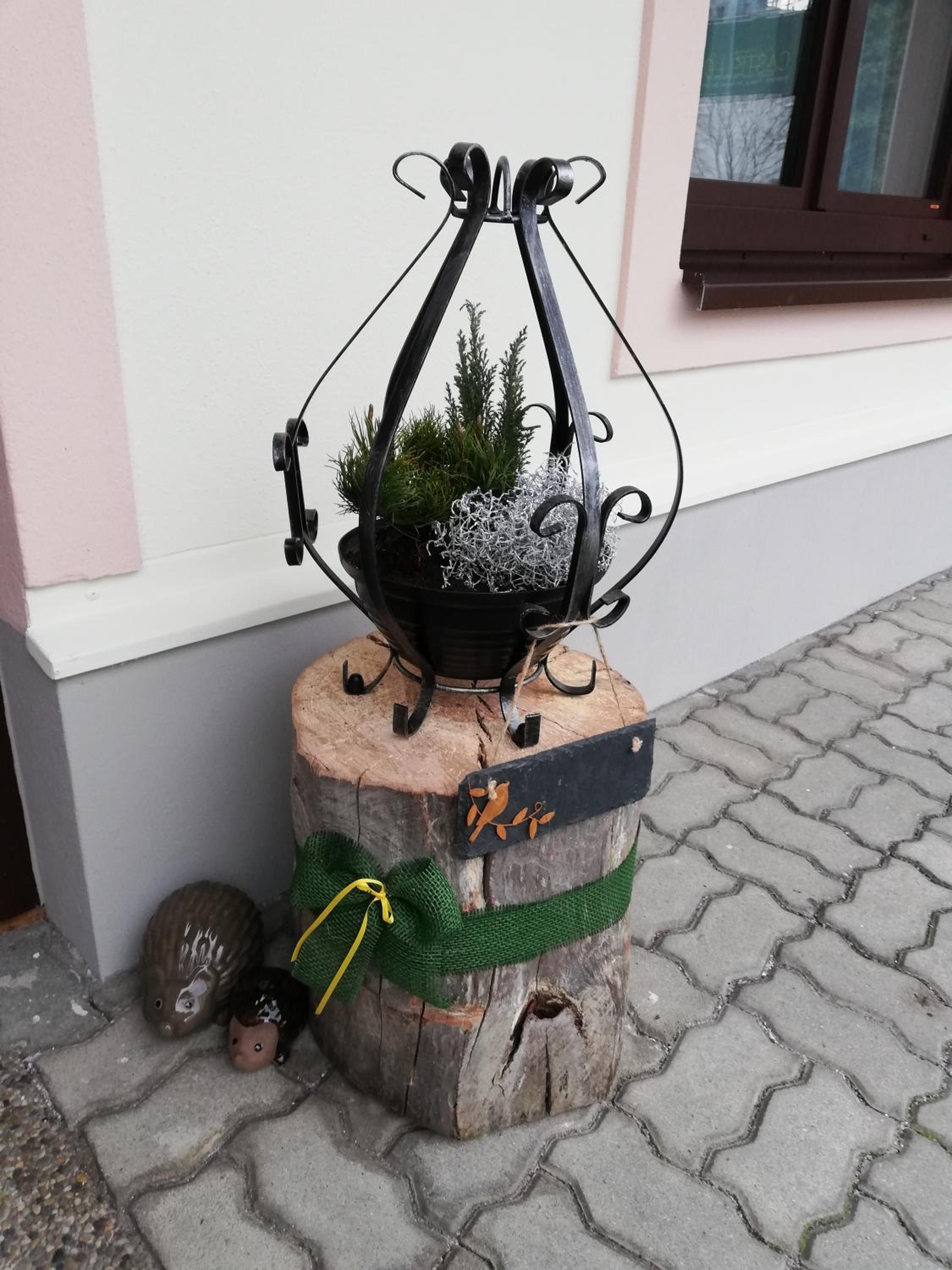 Schmaranzer