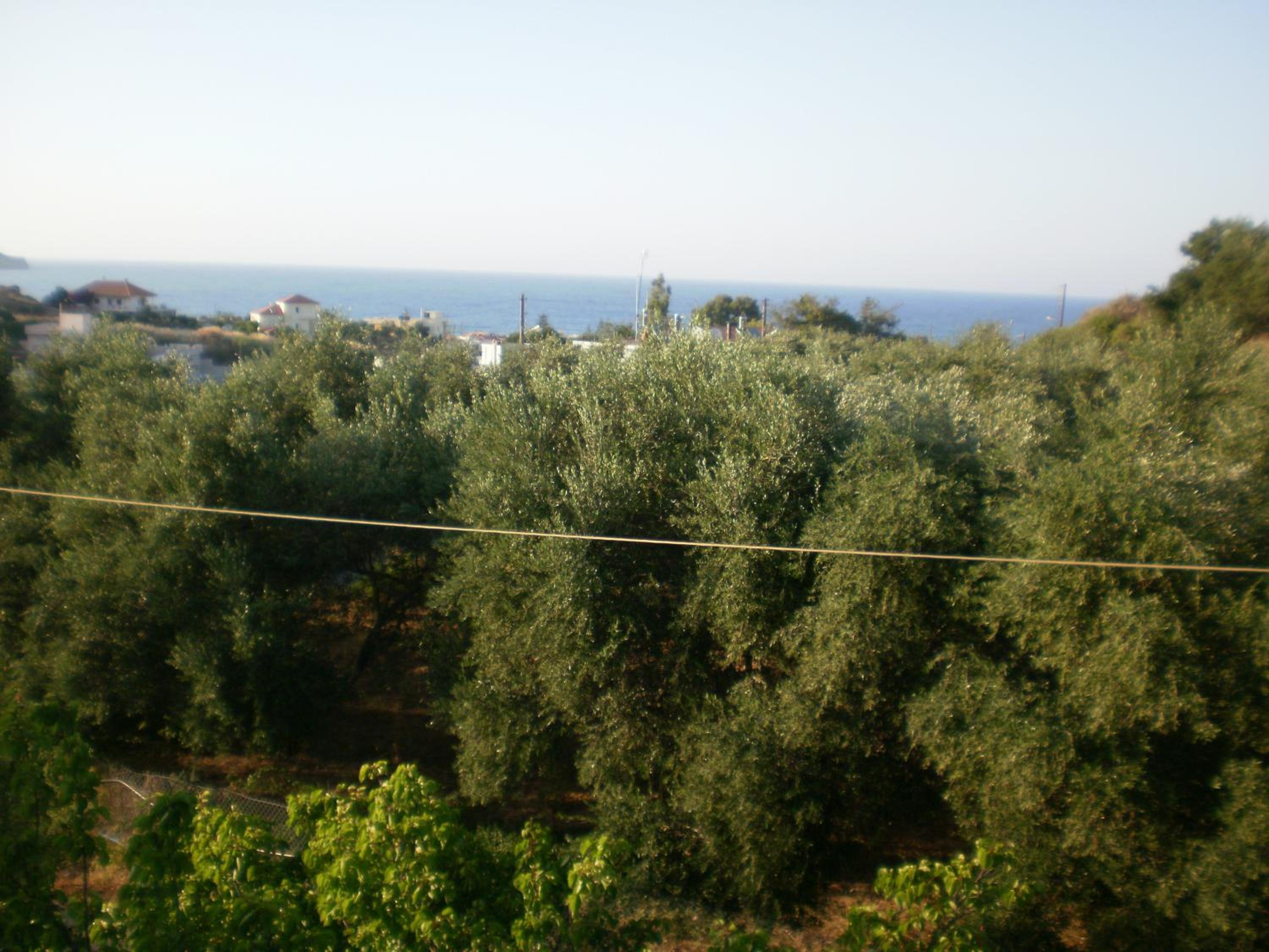 Photo 24
