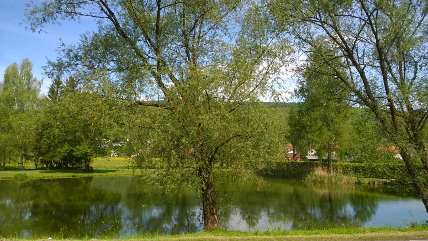 Photo 25
