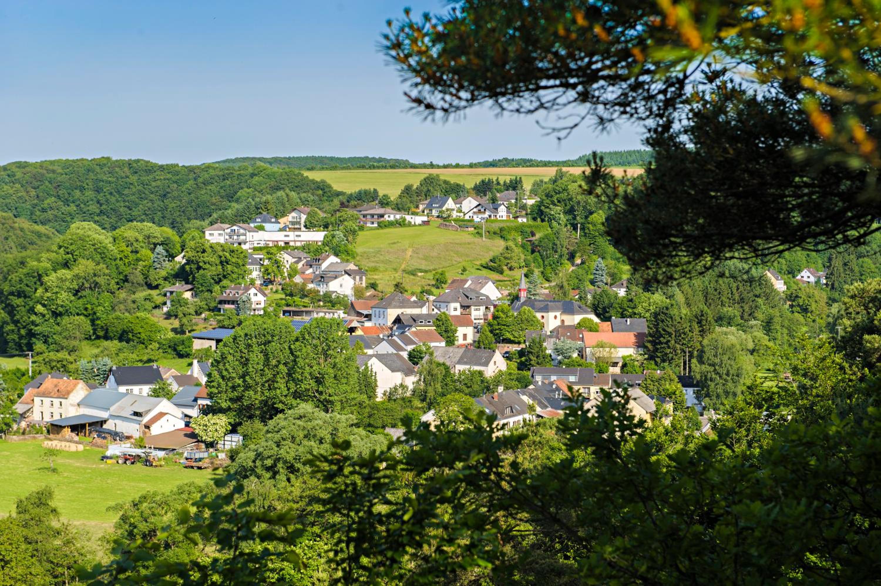 Nengshof Ferienhaus Gänseblümchen