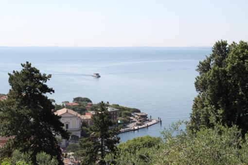 Villa degli Ulivi photo 2