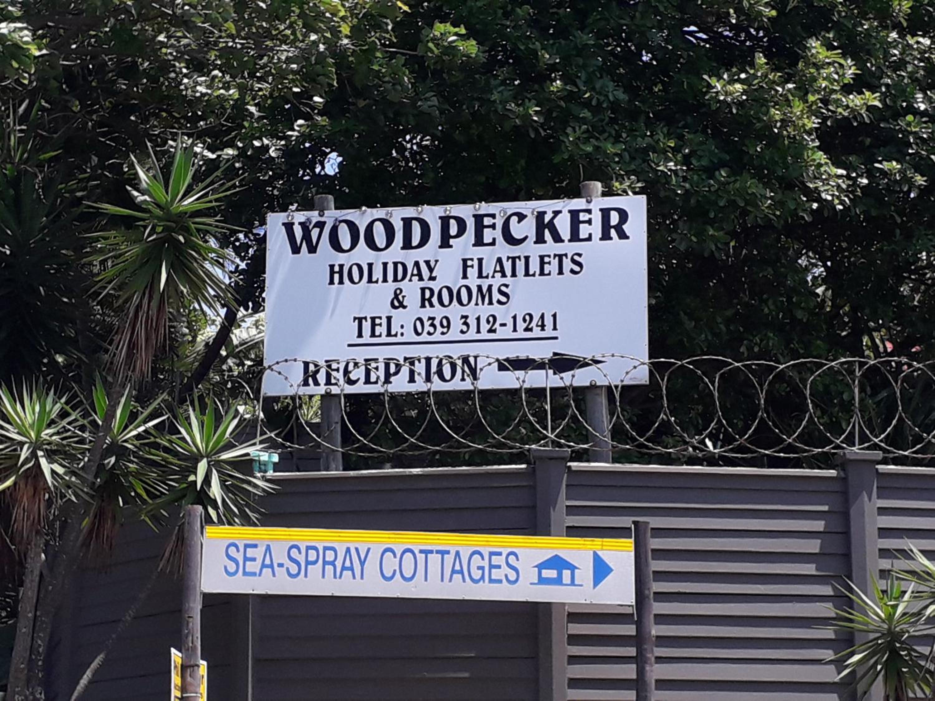 Woodpecker on Marine