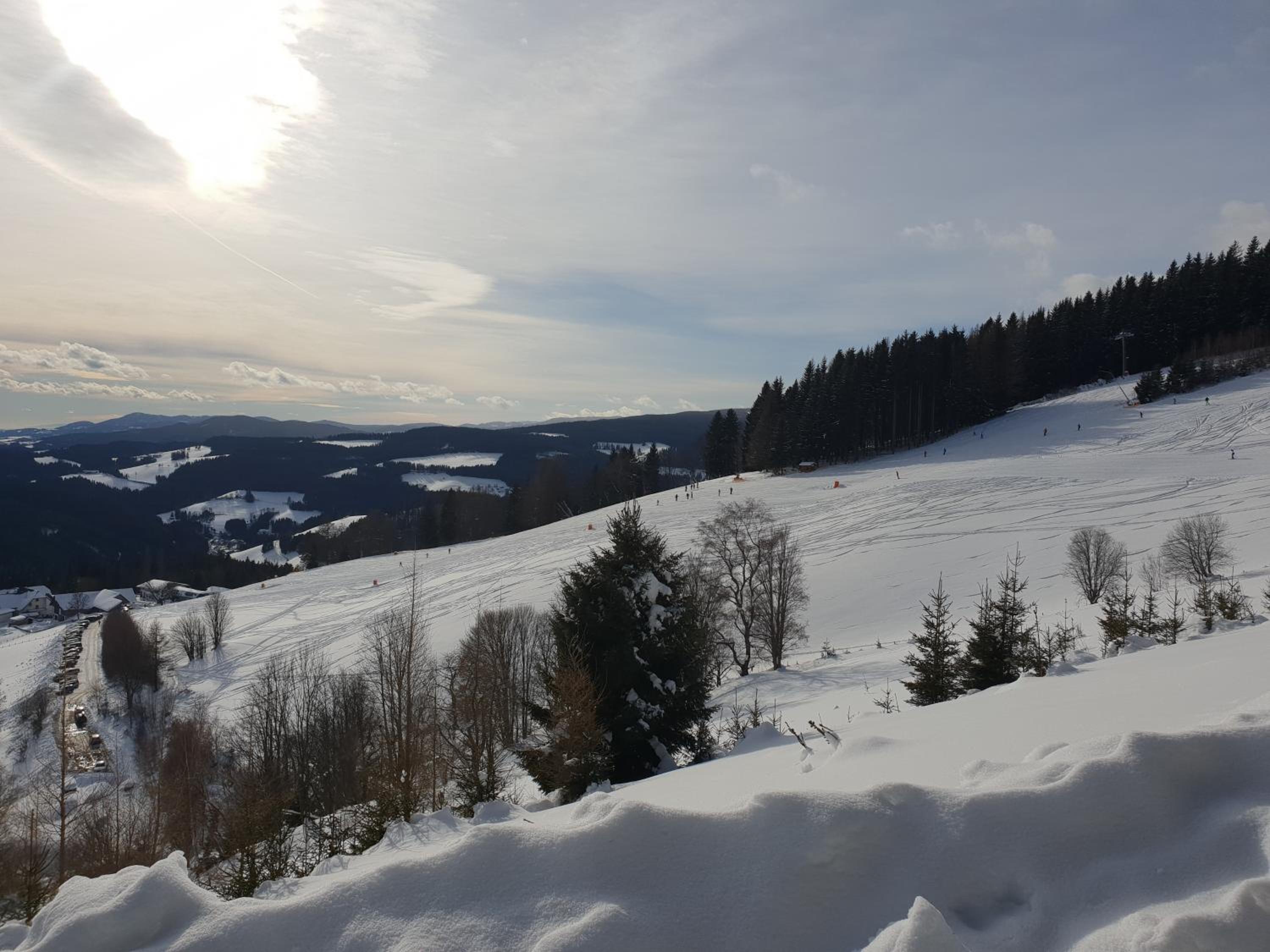 Waldheimathütten