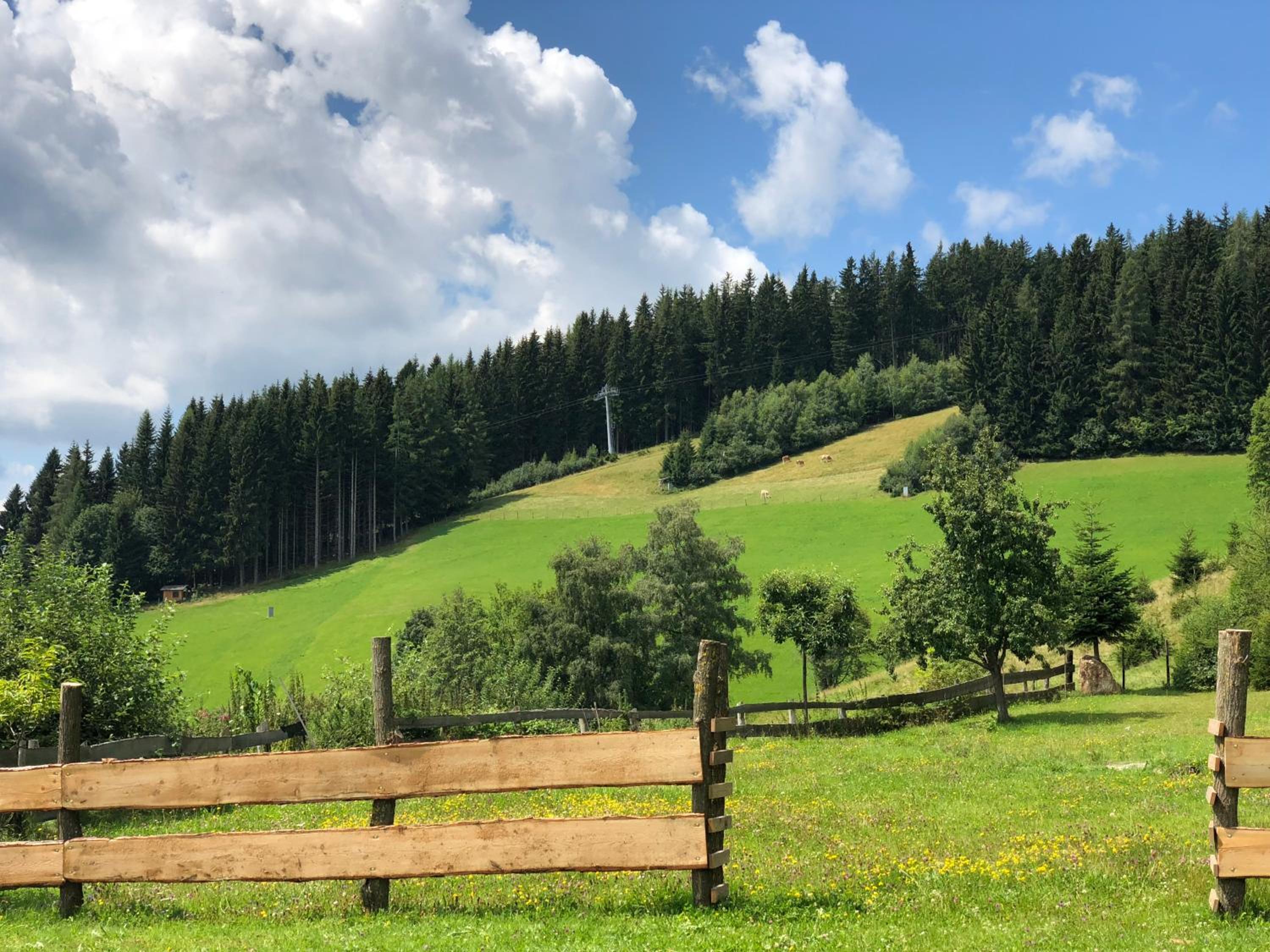 Waldheimathütten