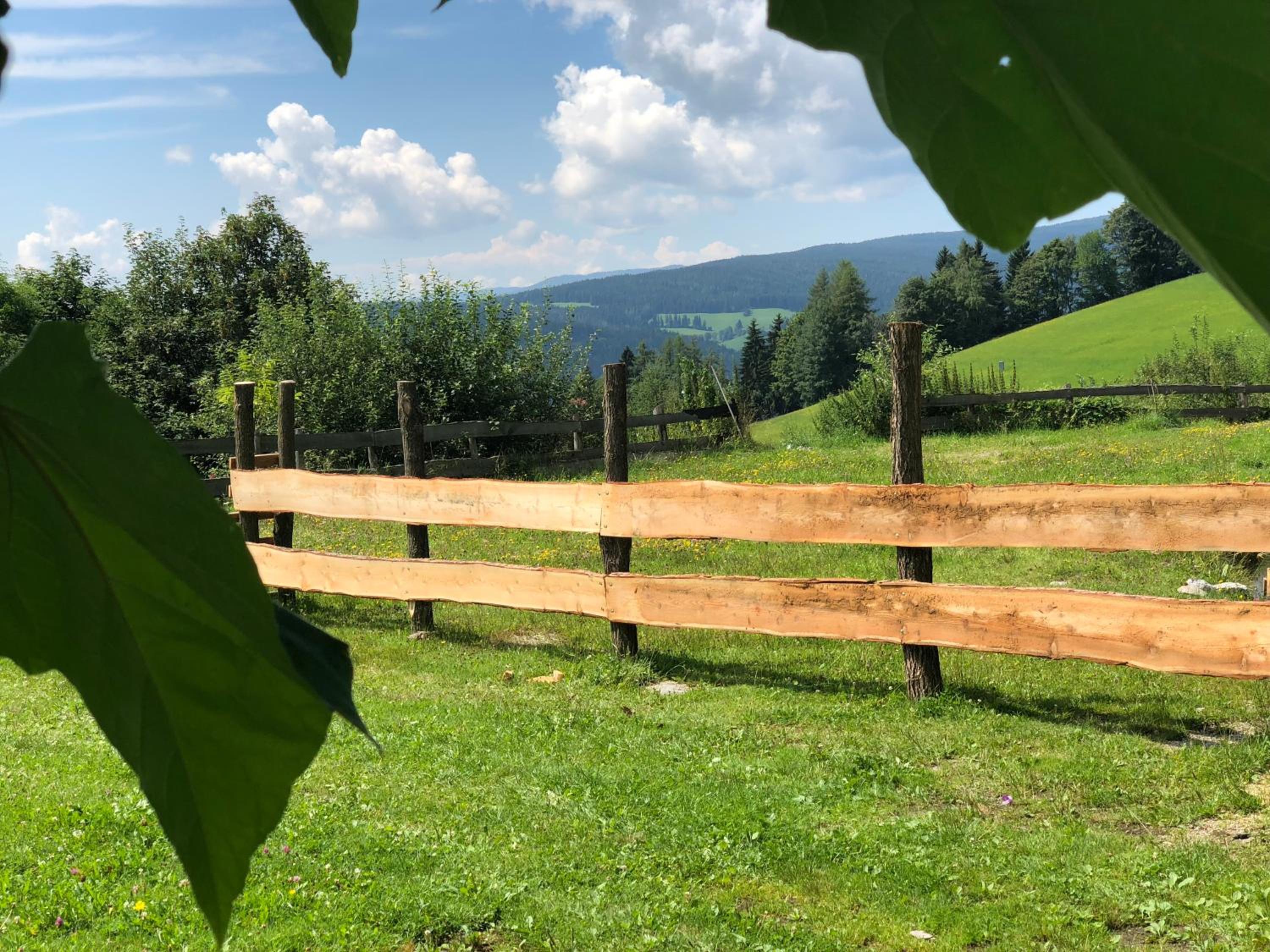 Waldheimathütten