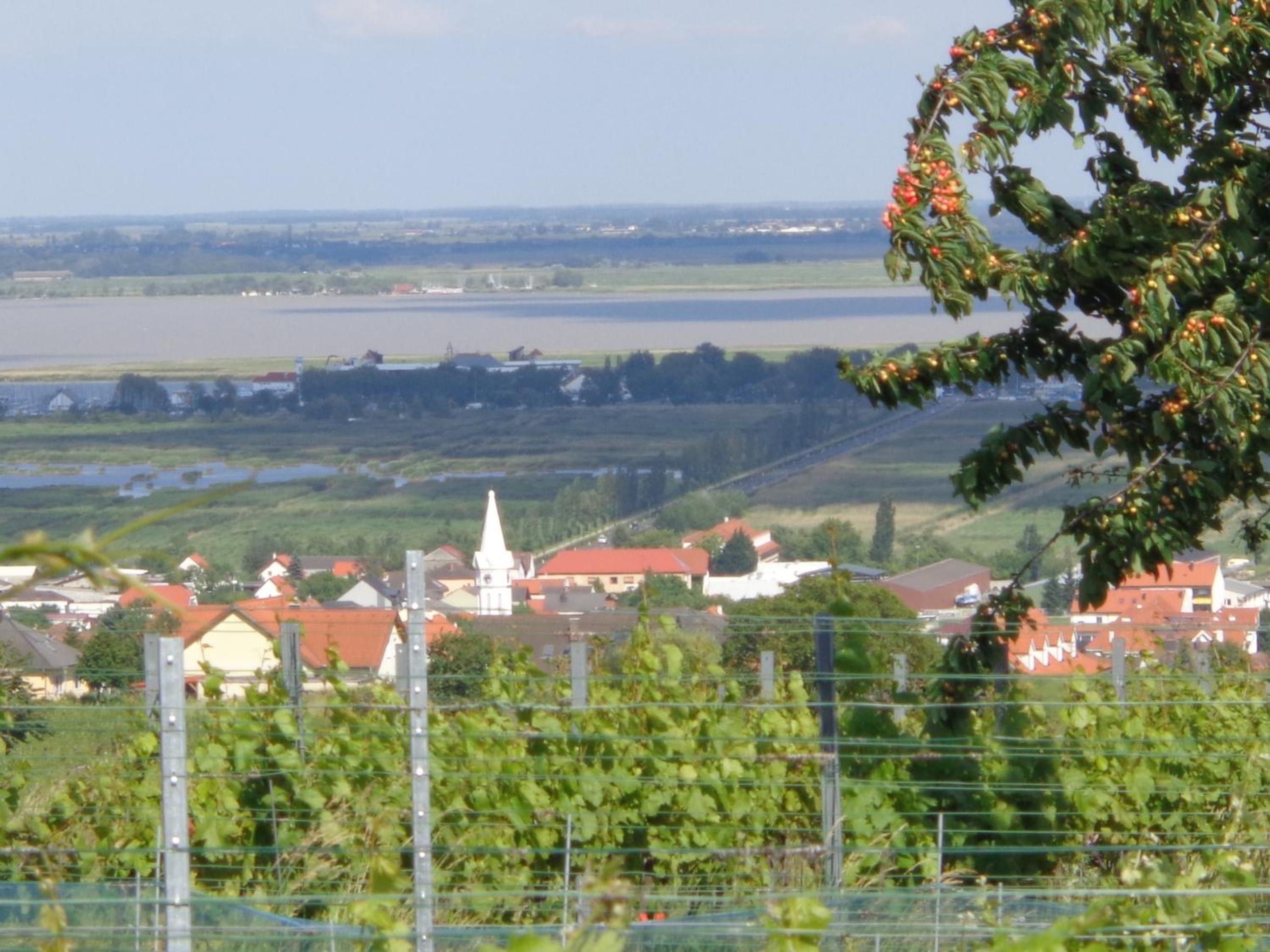 Haus Martin - Schneeberger