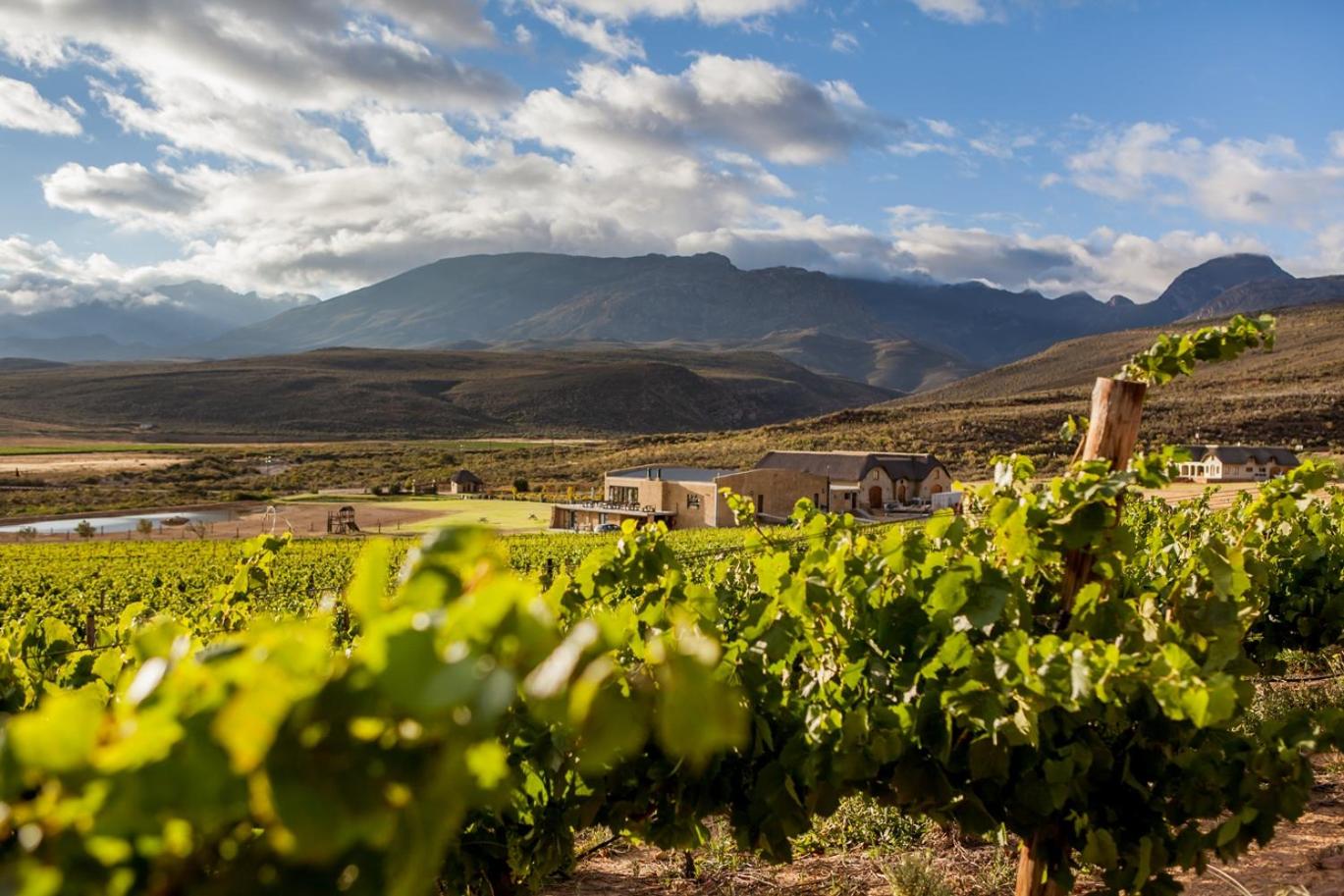 Lord's Wine Farm