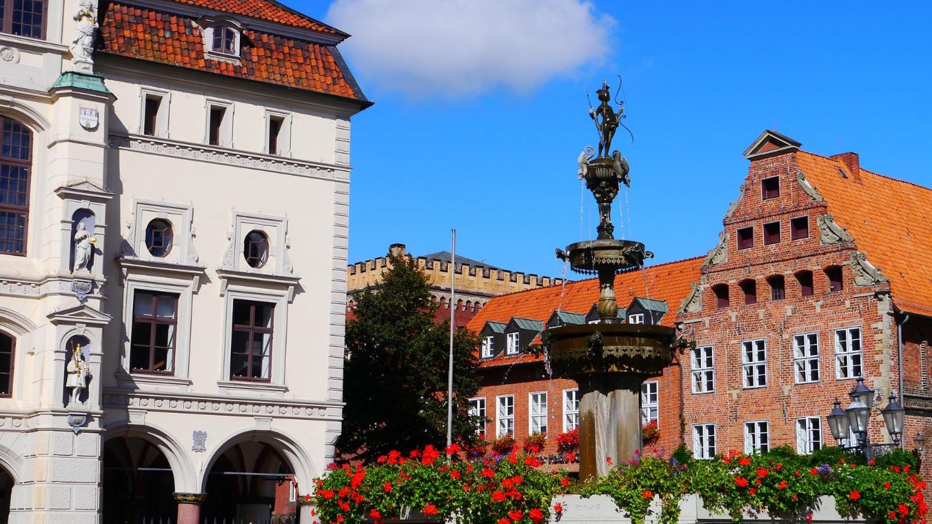 Ferienwohnungen Schäferfeld view 5