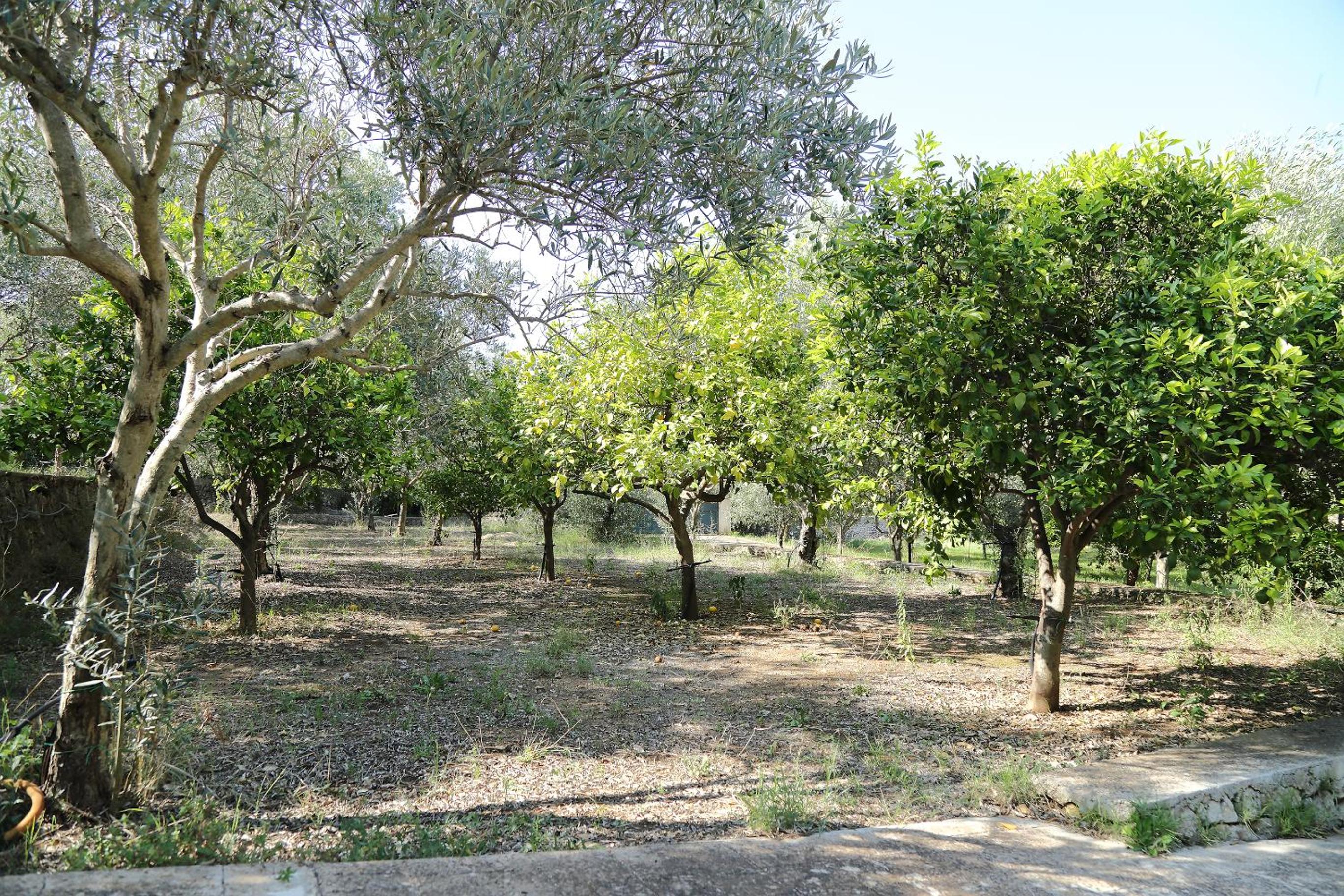 Photo 23