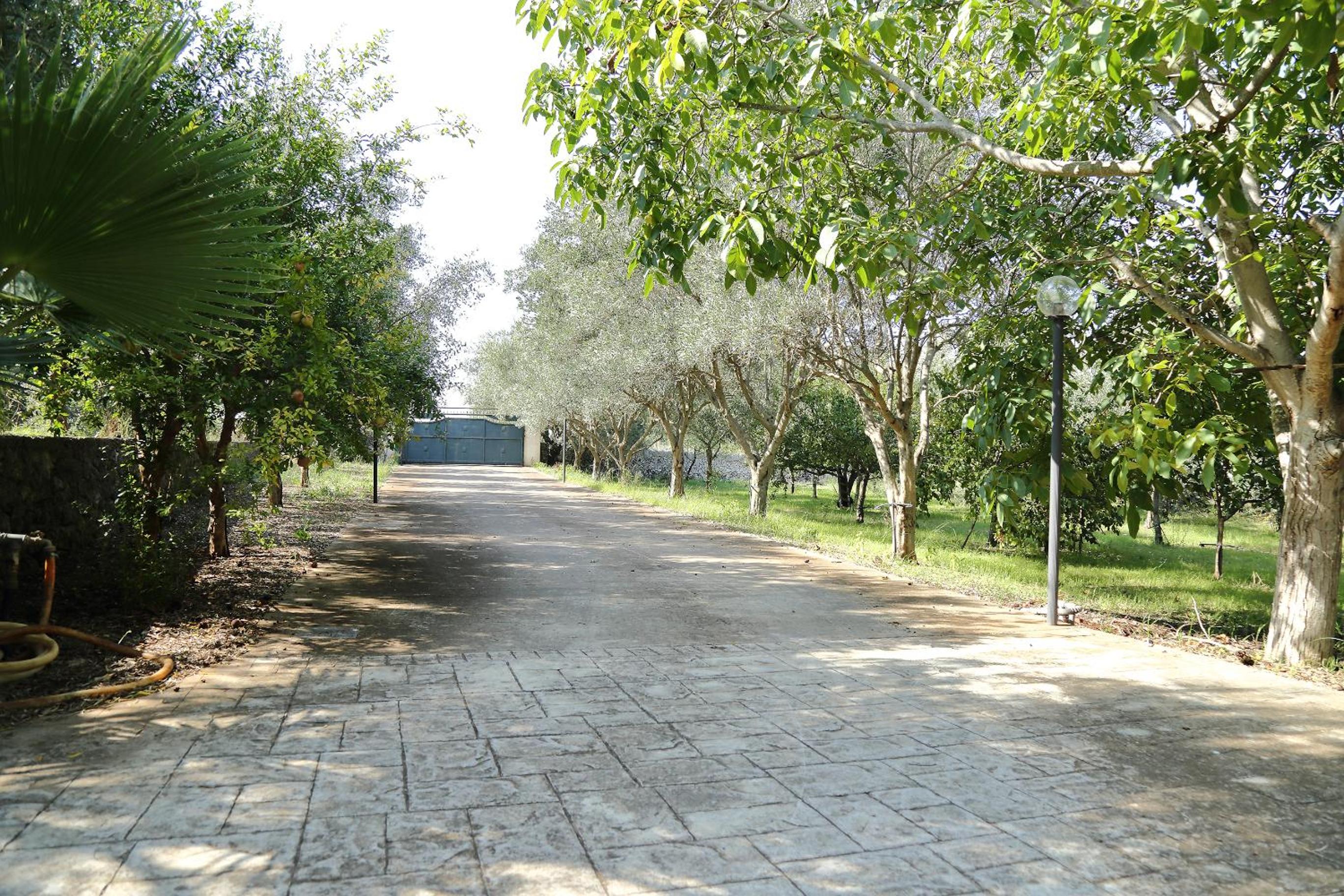 Photo 24