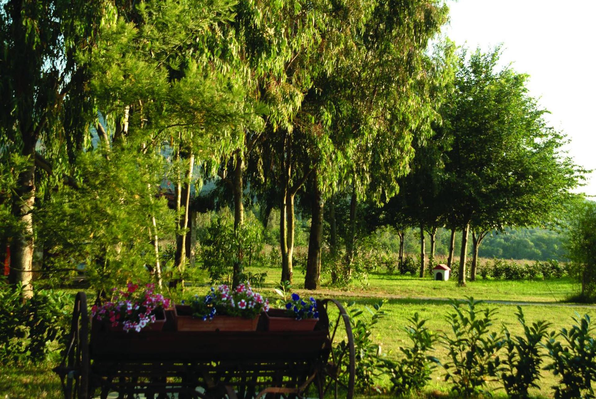 Agriturismo La Petrosa