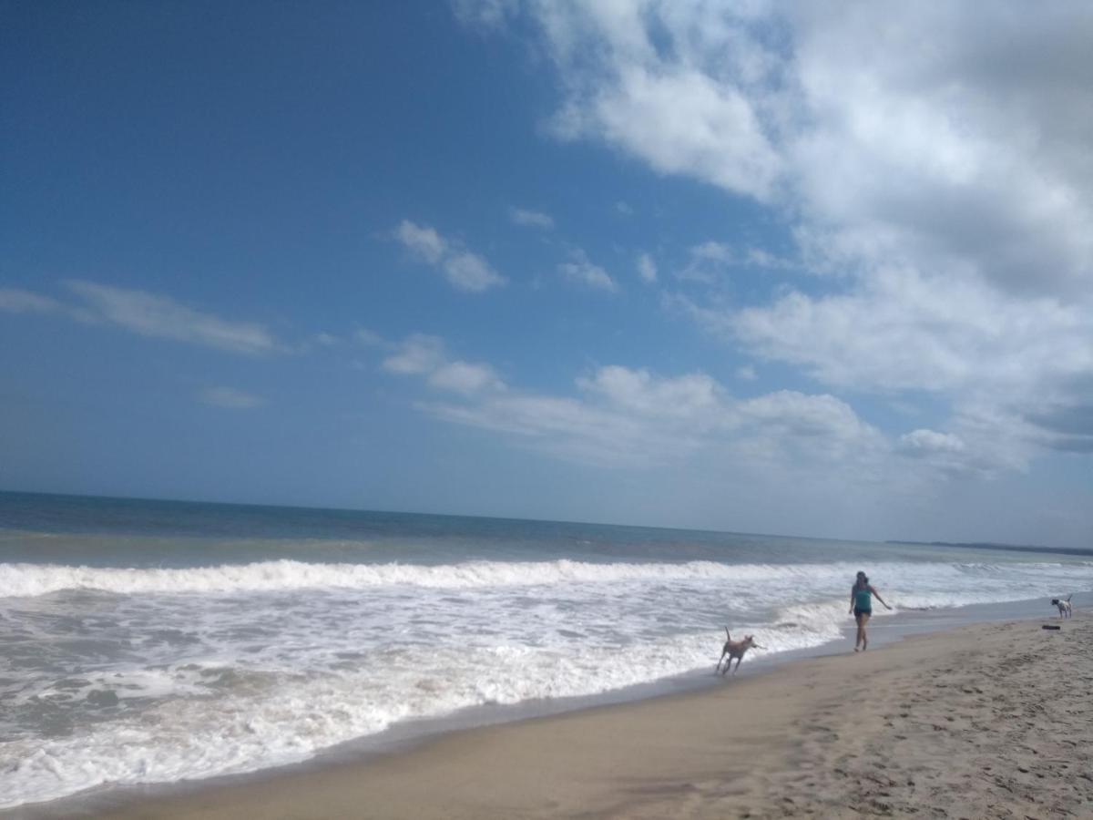 PALOMINO- HOSTEL BALNEARIO RIO ANCHO