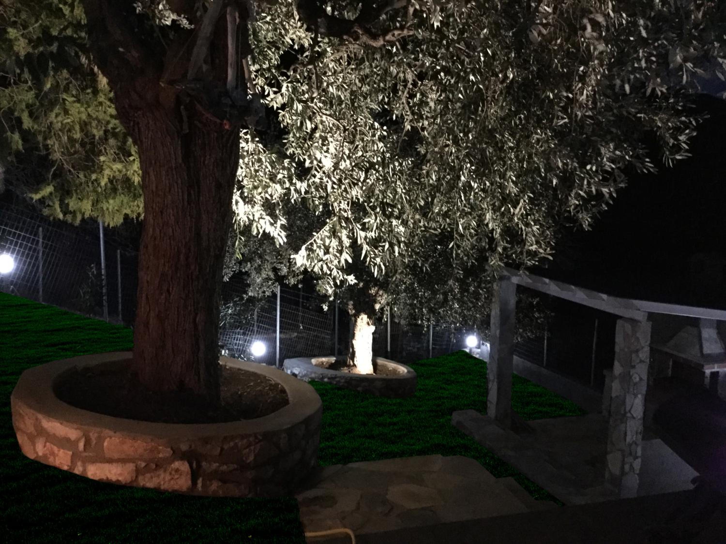 Photo 38