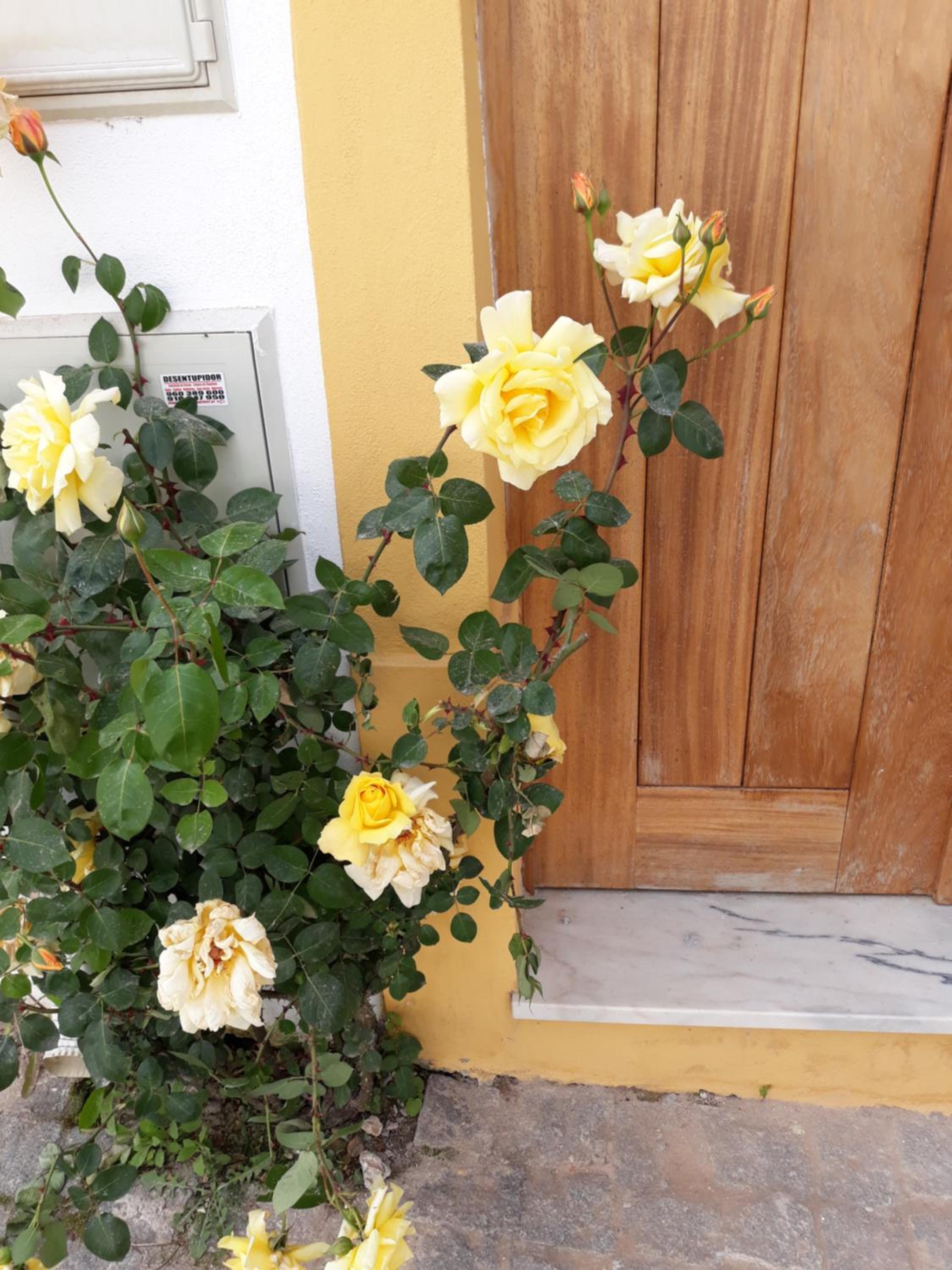 Casa d'Avó view 4