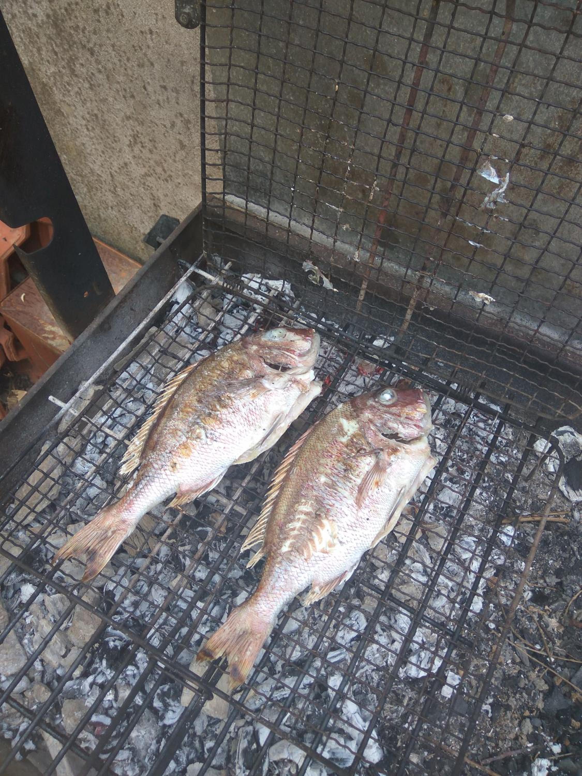 Photo 41