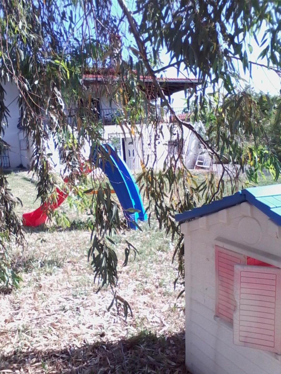 Photo 42