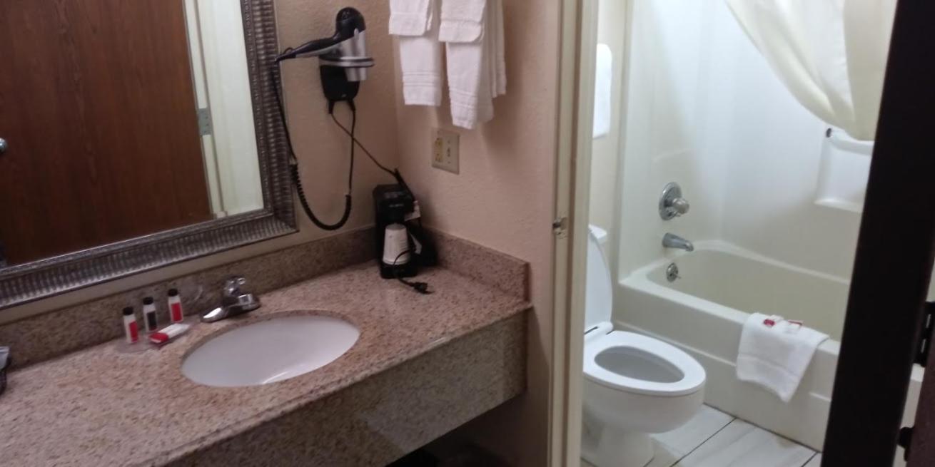 Photo 19