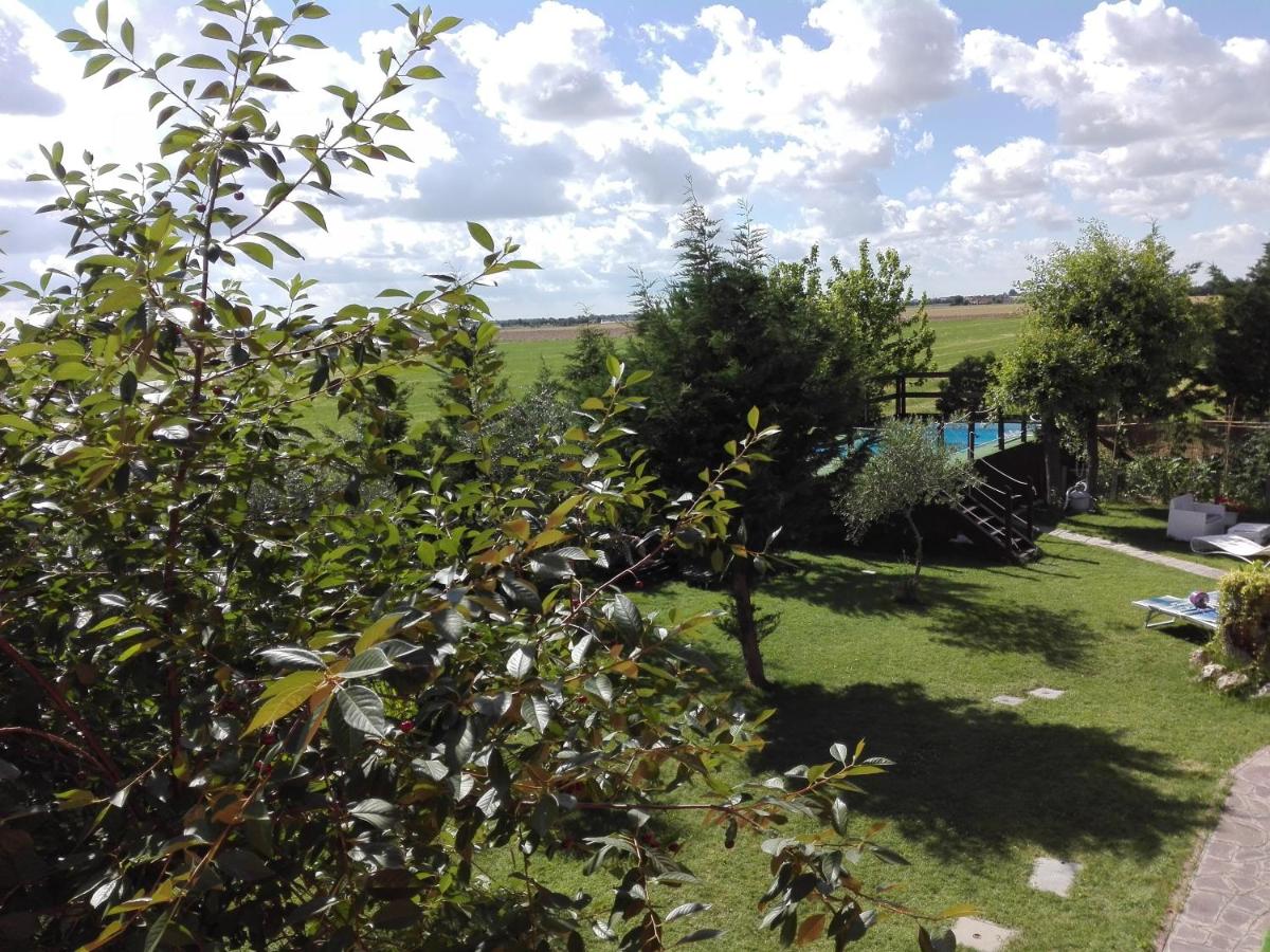 BB Da Betta - Property Image 33