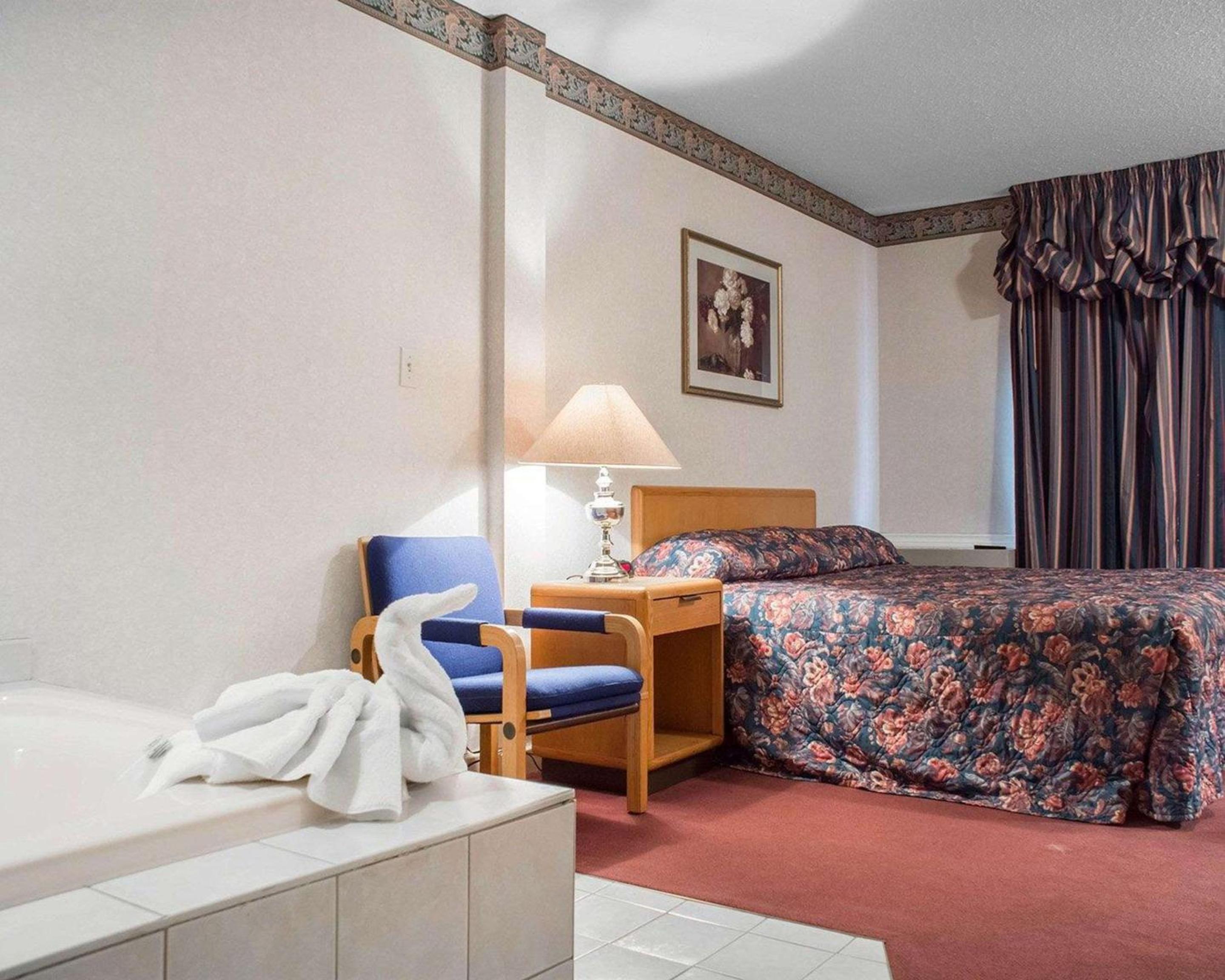 Econo Lodge By the Falls - Image 5