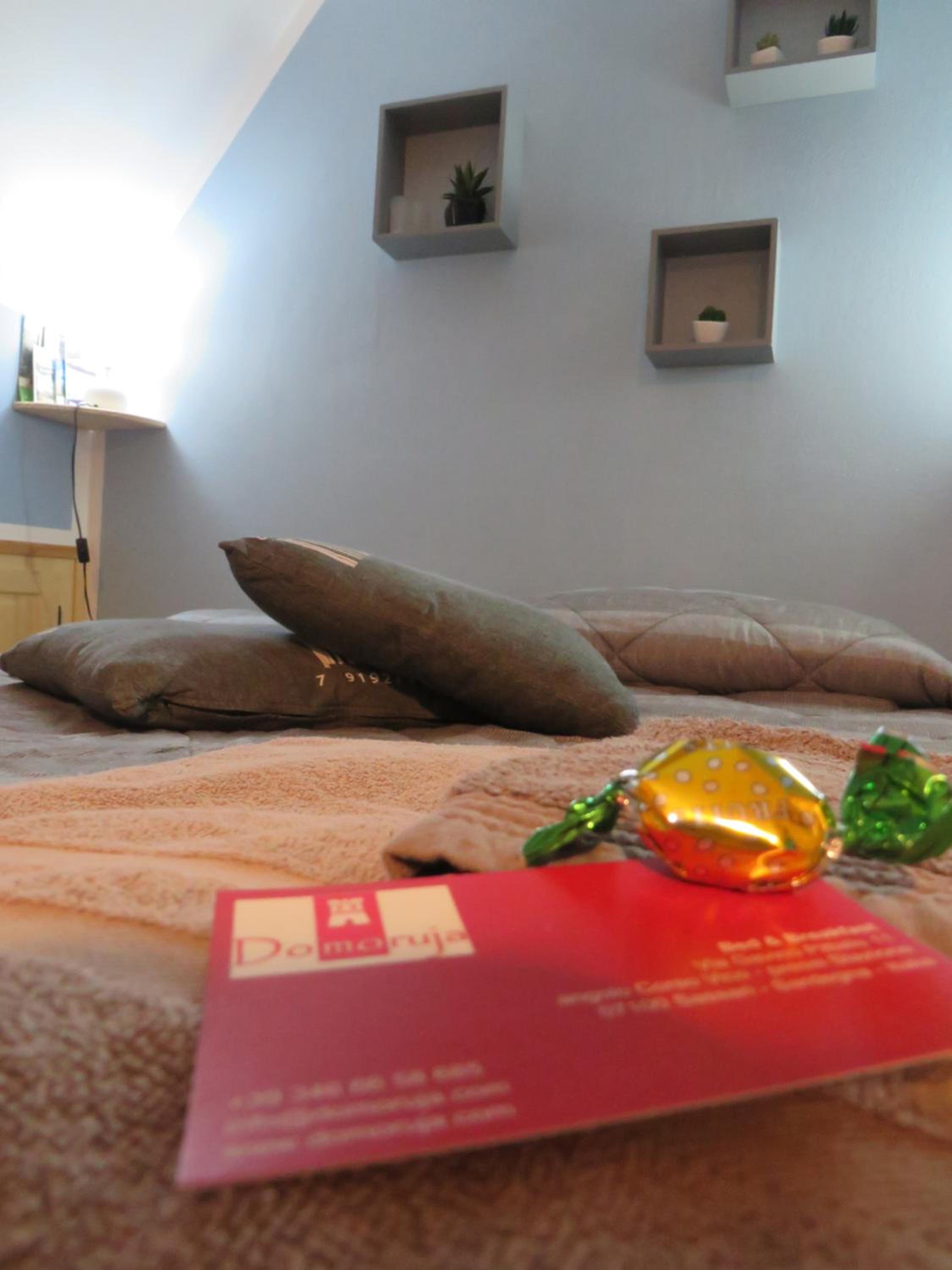 Photo 42