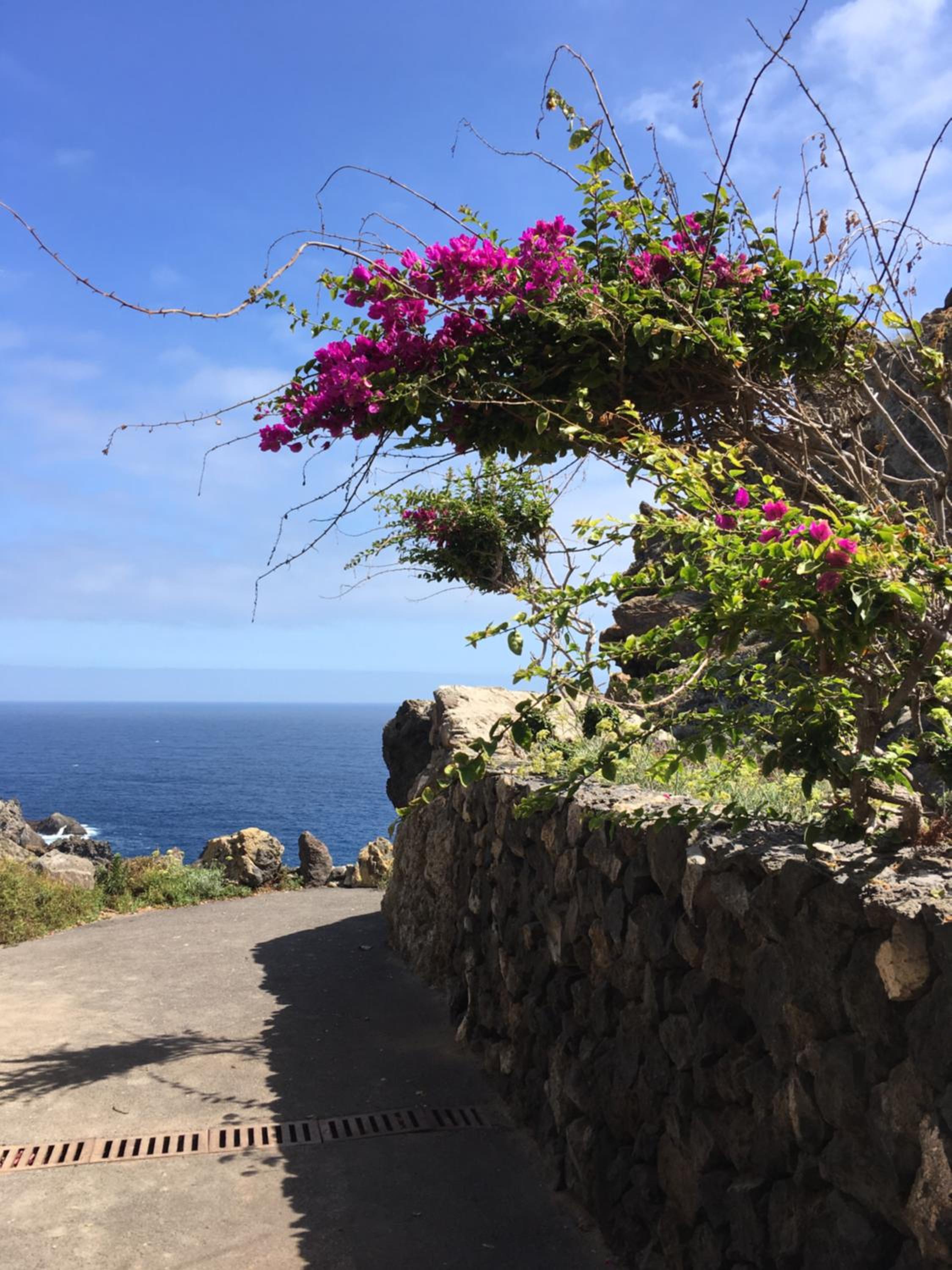 Finca La Punta photo 4