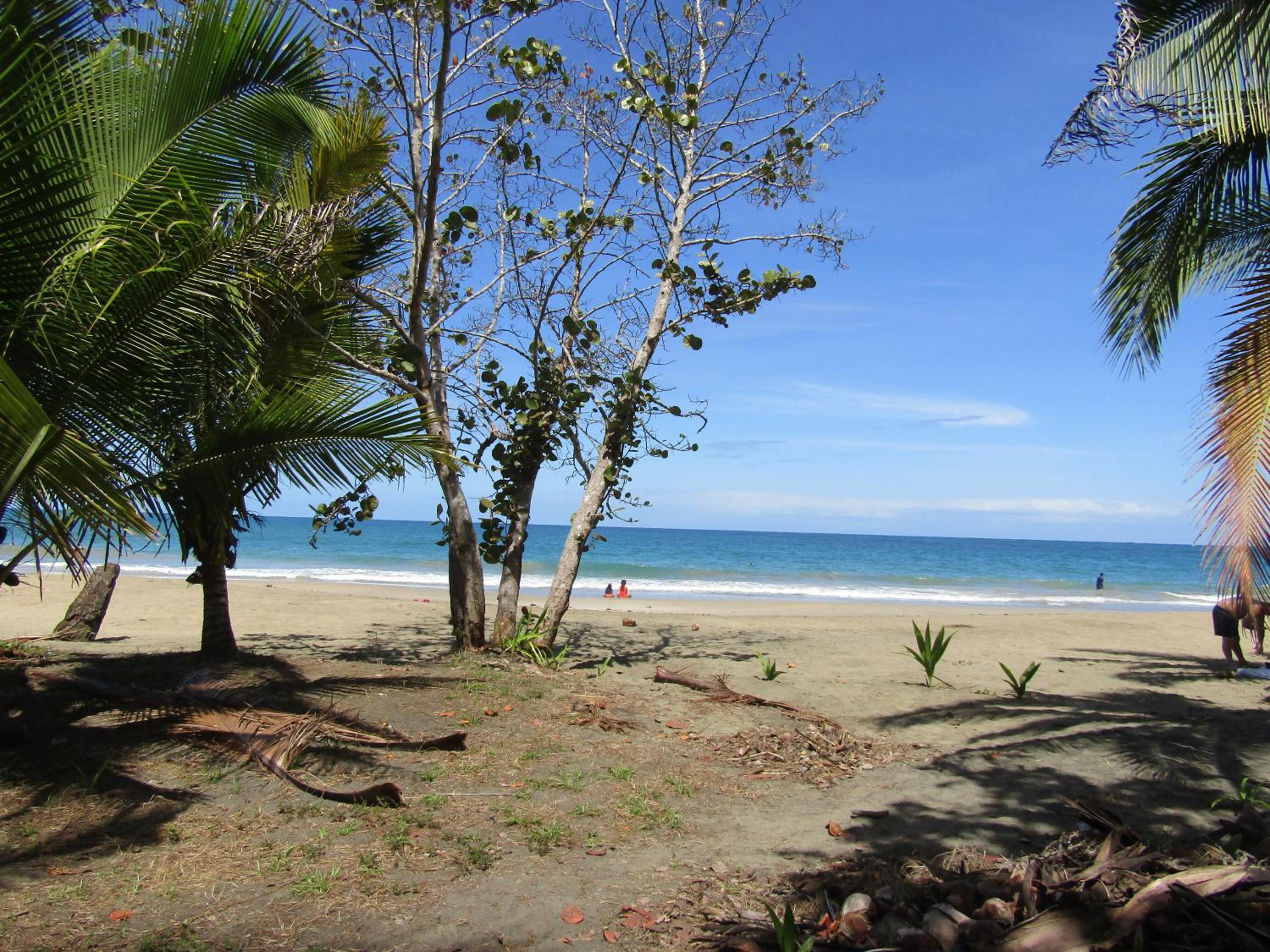 Pineapple house Manzanillo