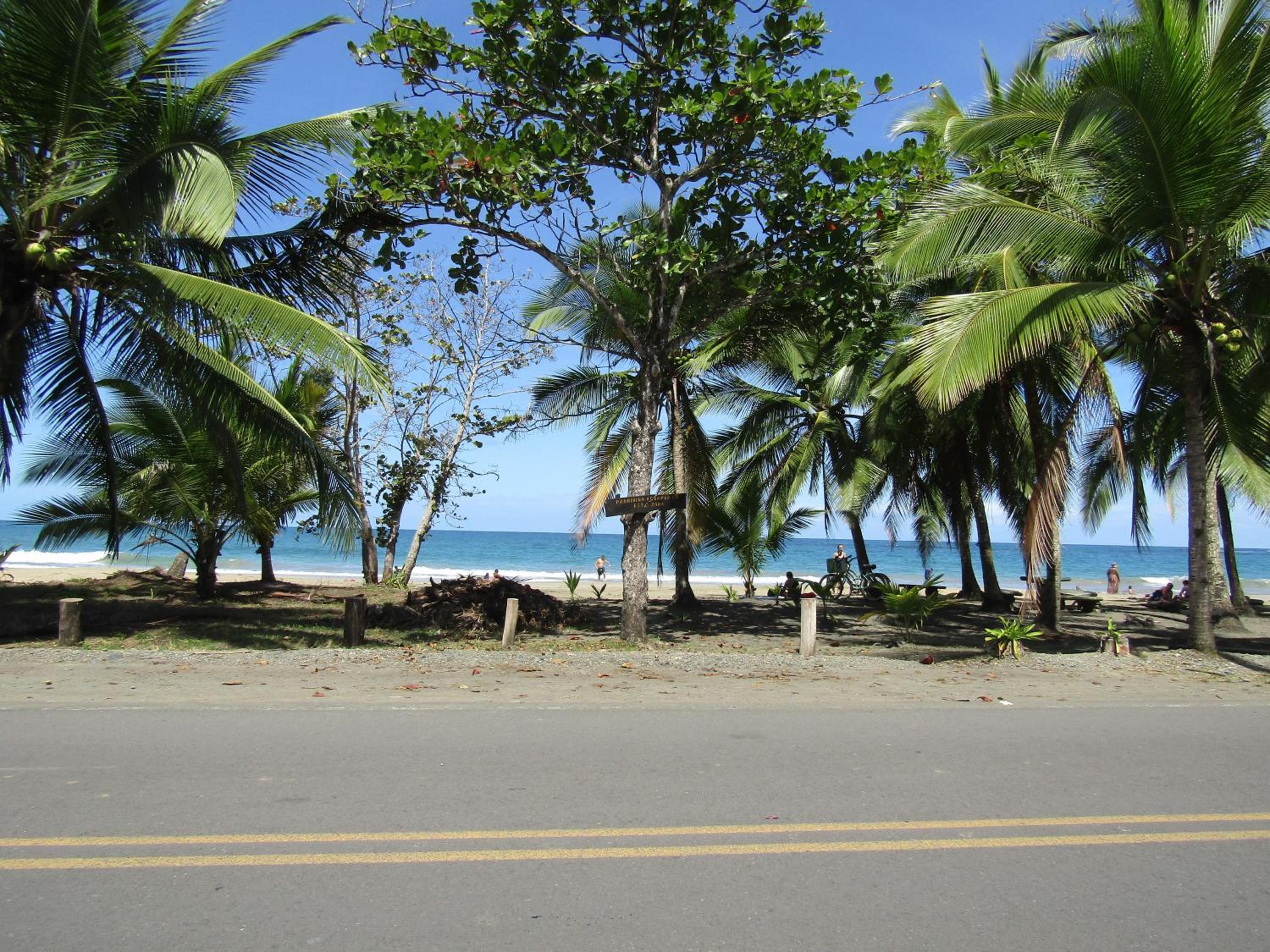 Pineapple house Manzanillo