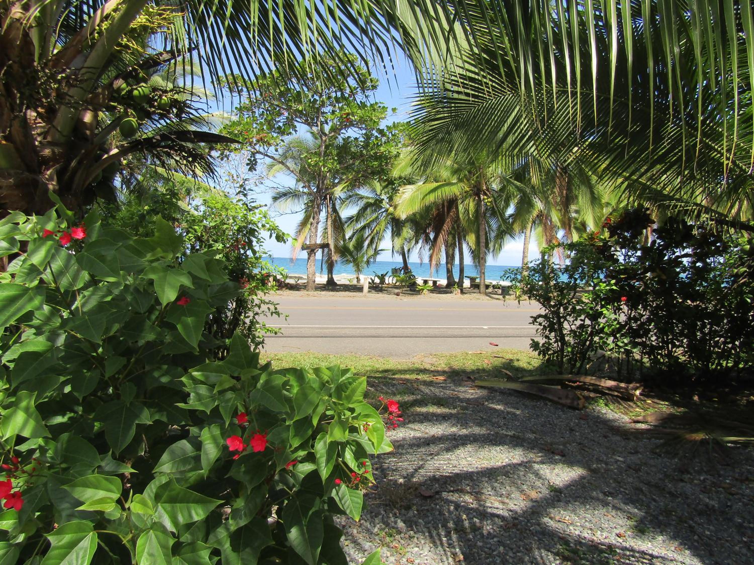 Pineapple house Manzanillo