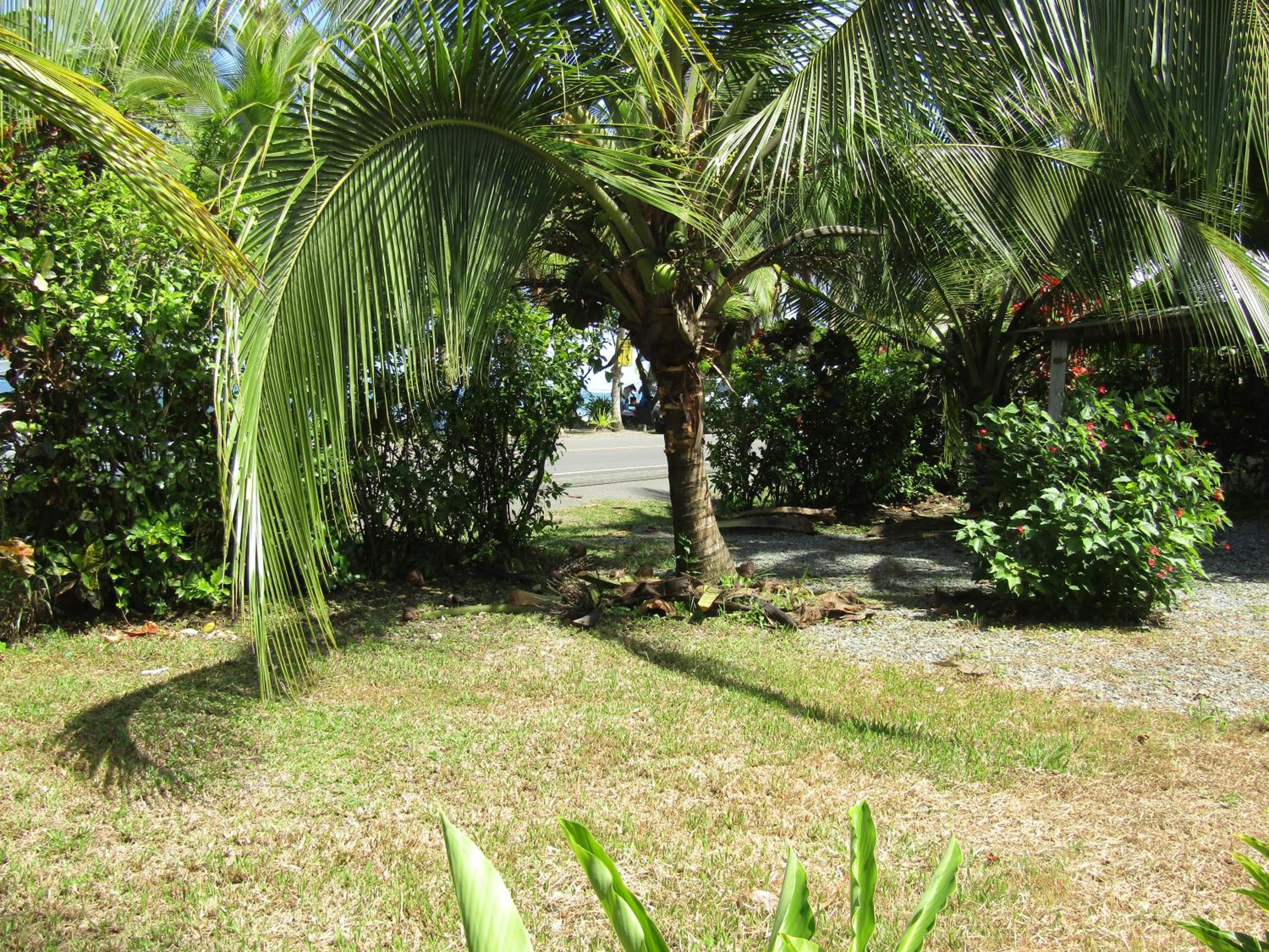 Pineapple house Manzanillo