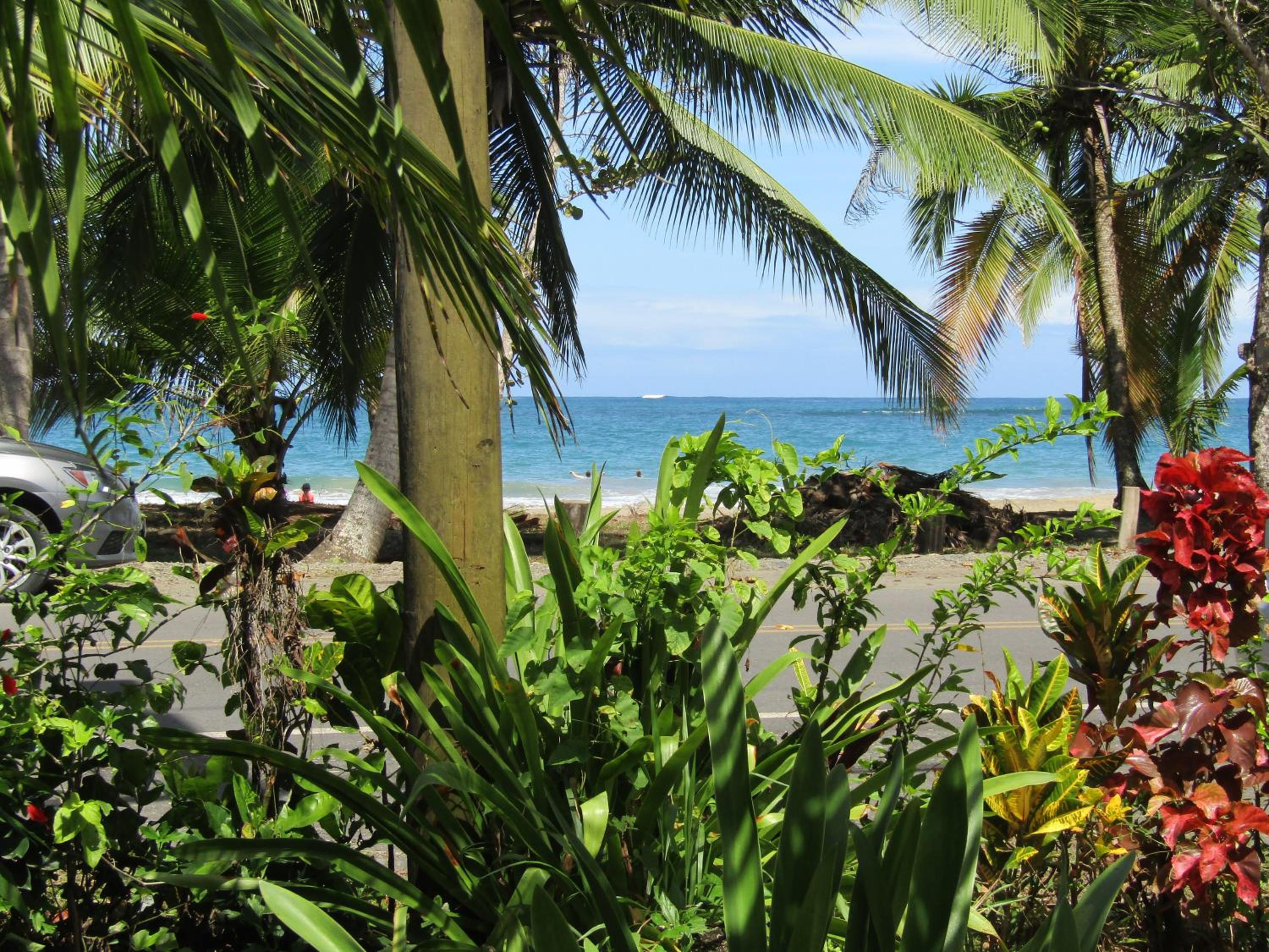 Pineapple house Manzanillo
