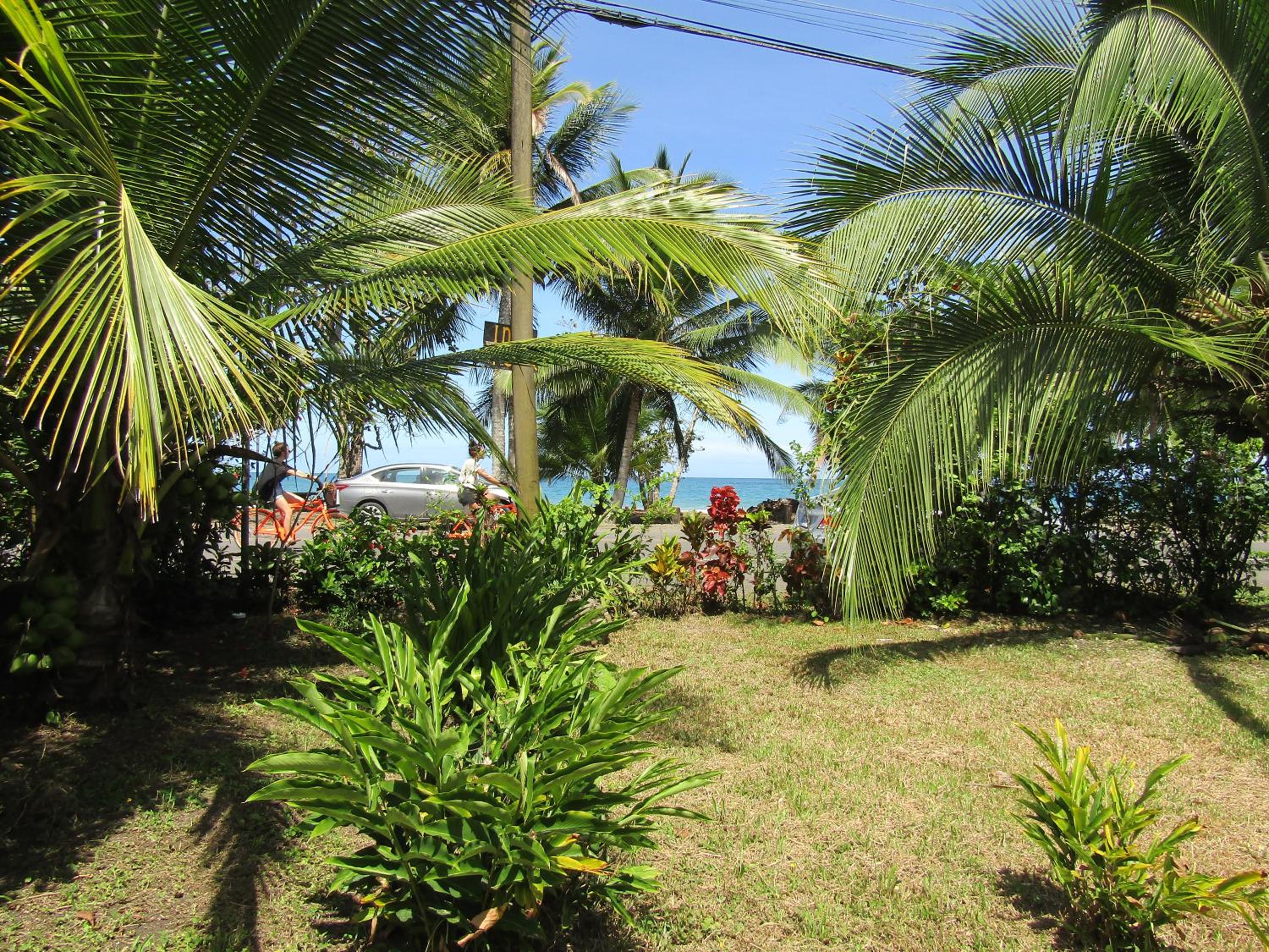 Pineapple house Manzanillo