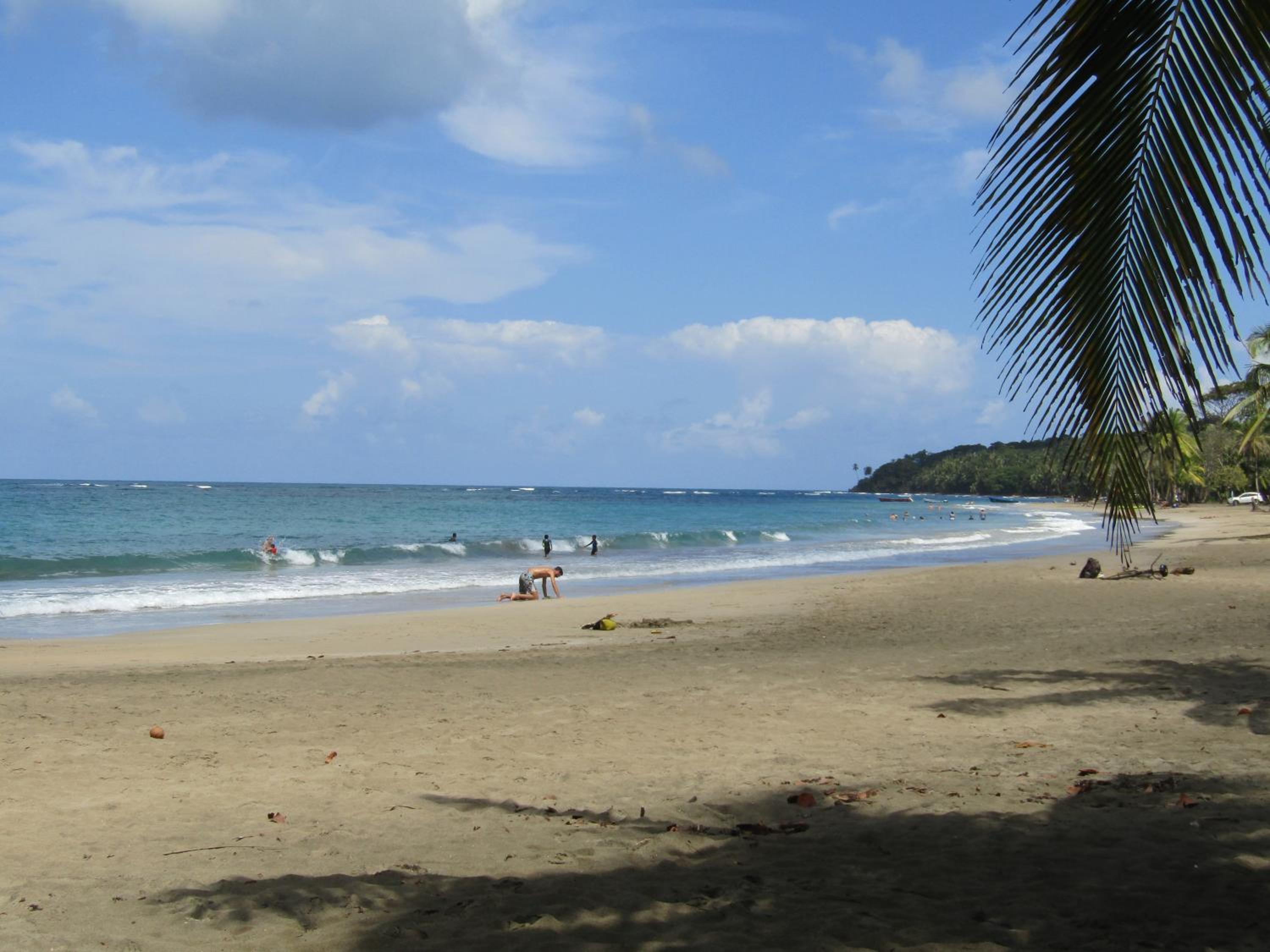 Pineapple house Manzanillo