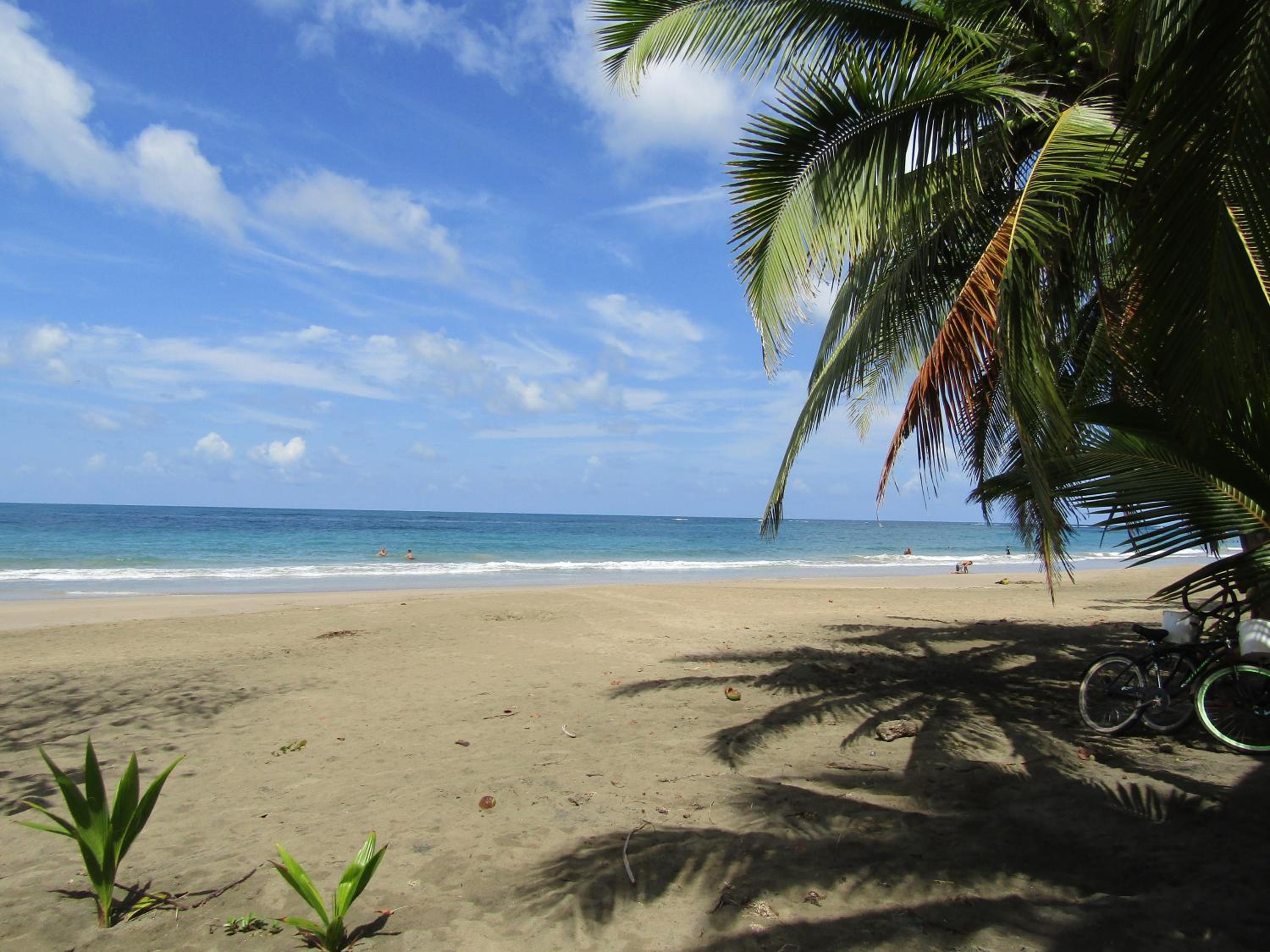Pineapple house Manzanillo
