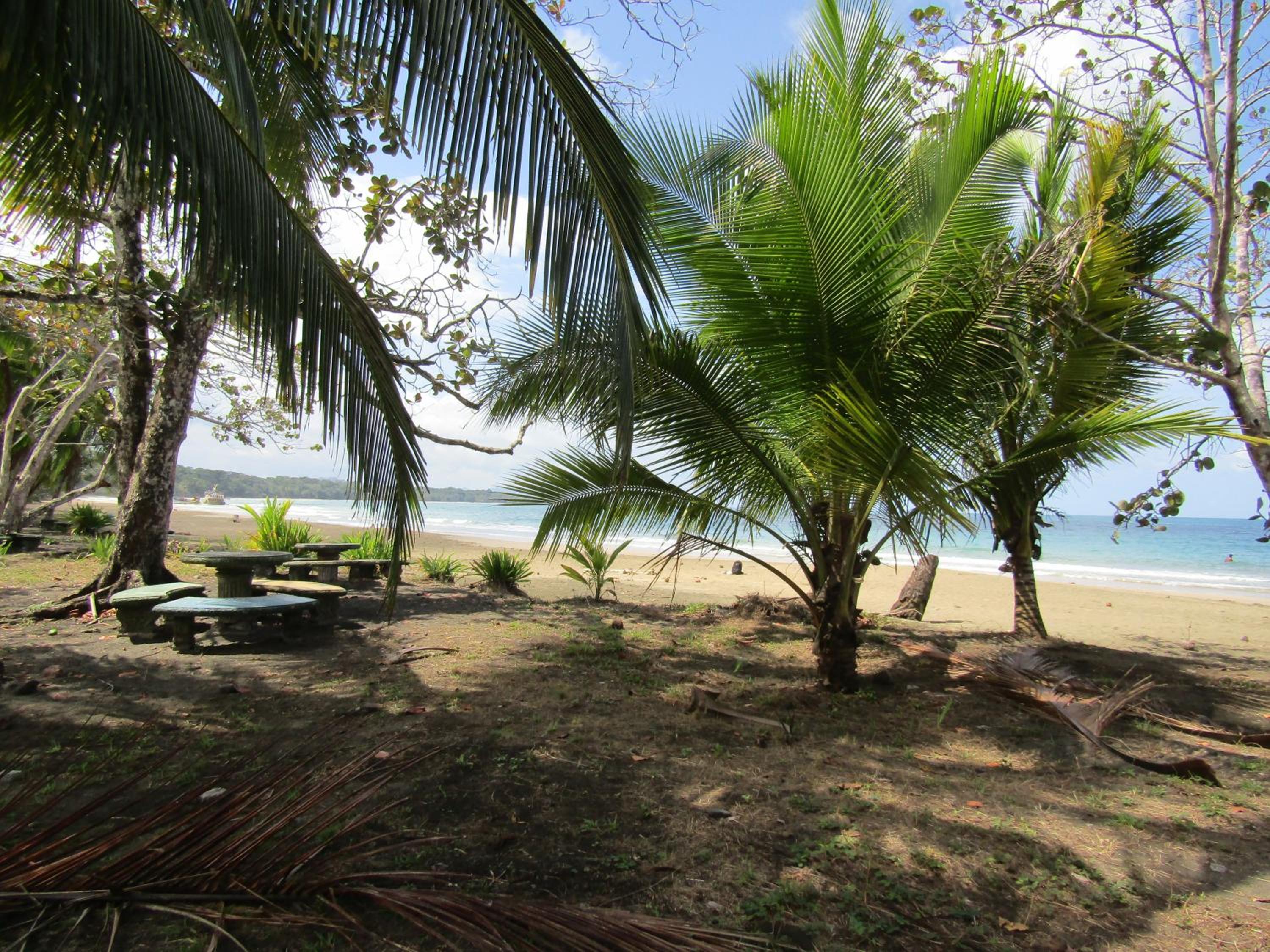 Pineapple house Manzanillo
